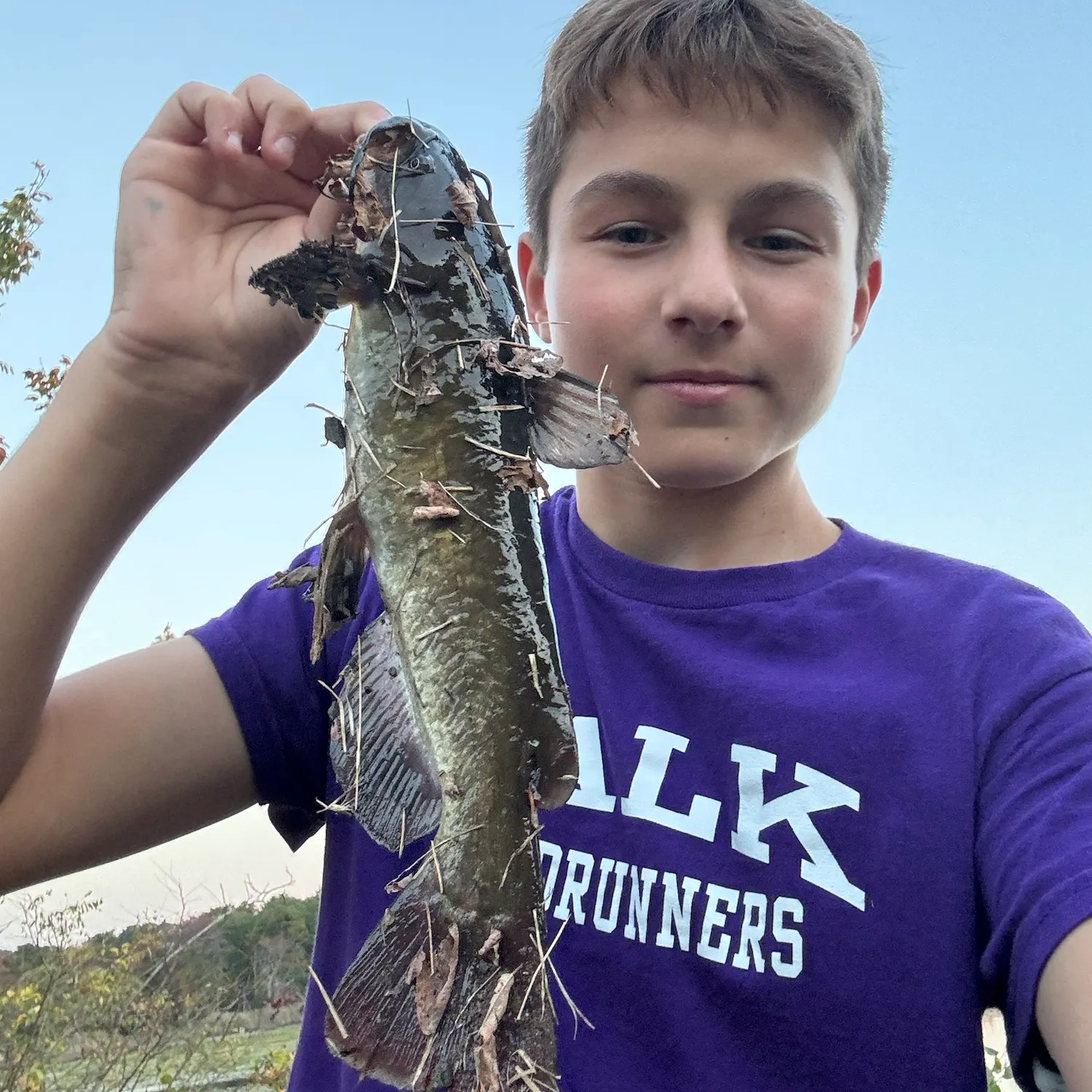 Yellow bullhead caught on Fishbrain