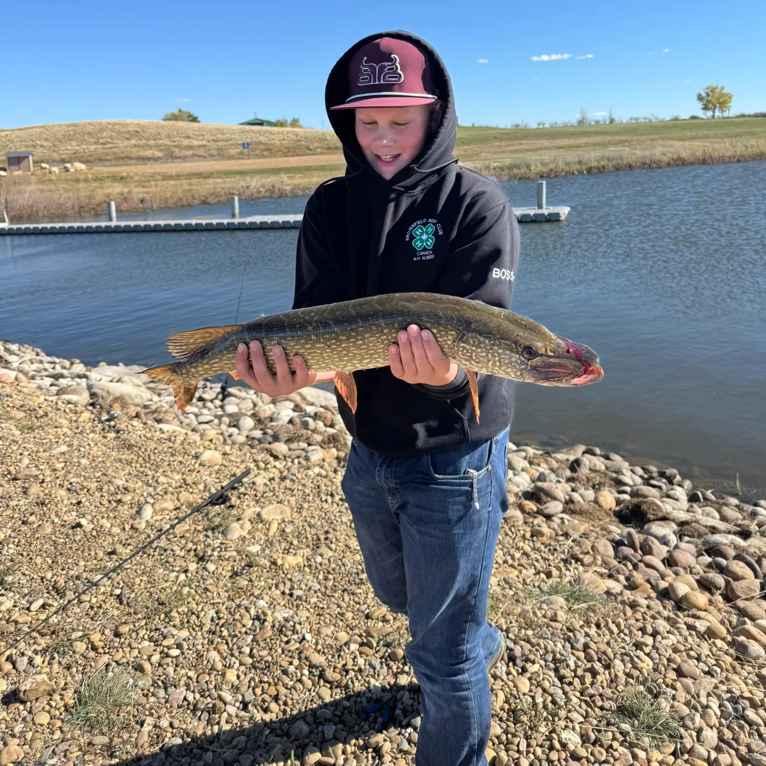 Northern pike caught on Fishbrain