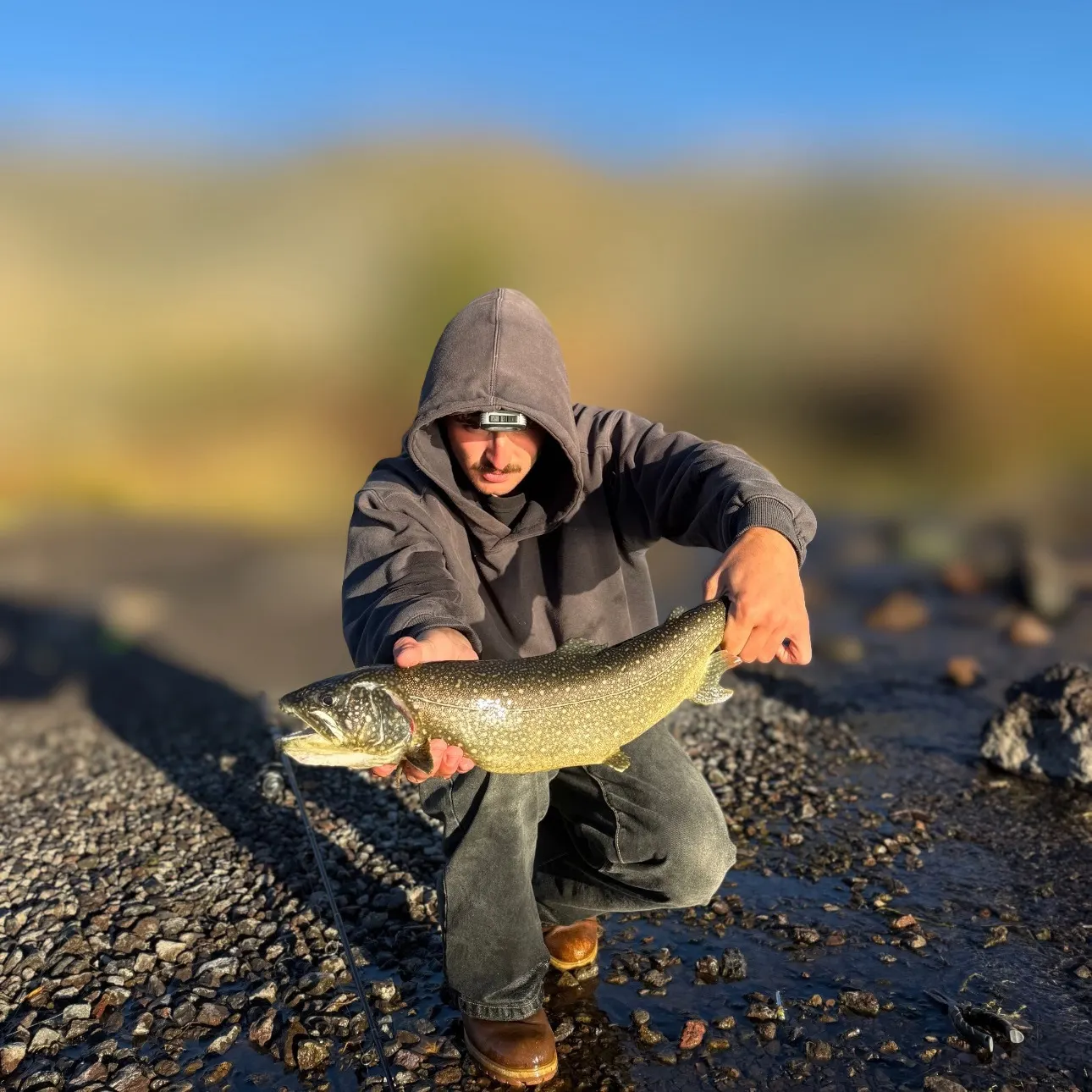 Lake char caught on Fishbrain
