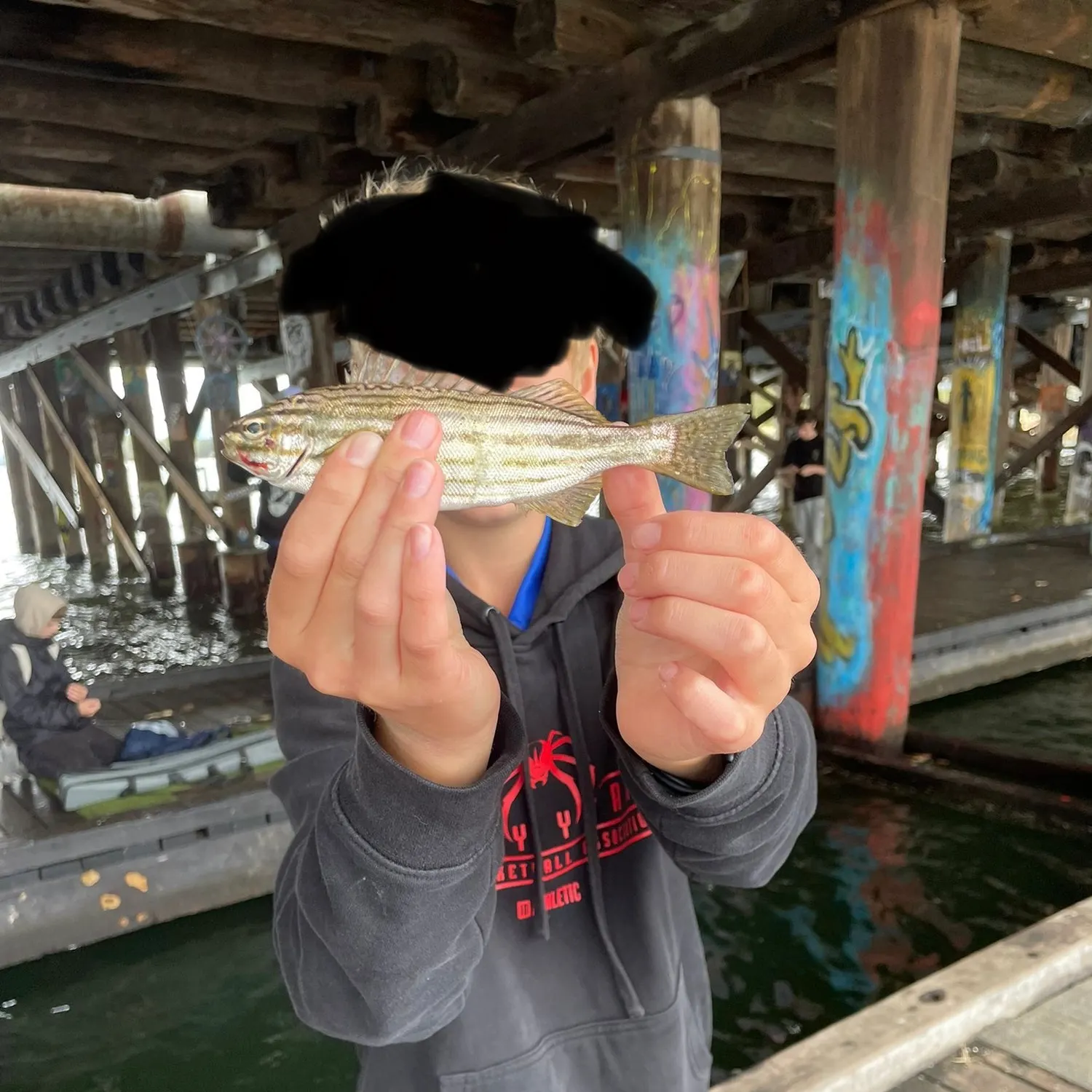 The most recent Blue moki catches on Fishbrain