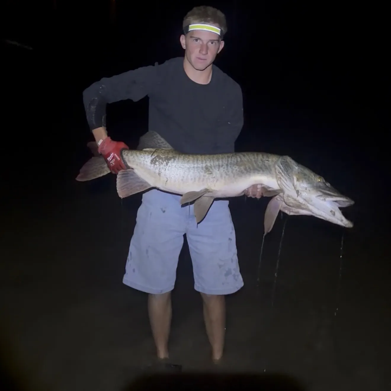 The most recent Tiger muskellunge catches on Fishbrain