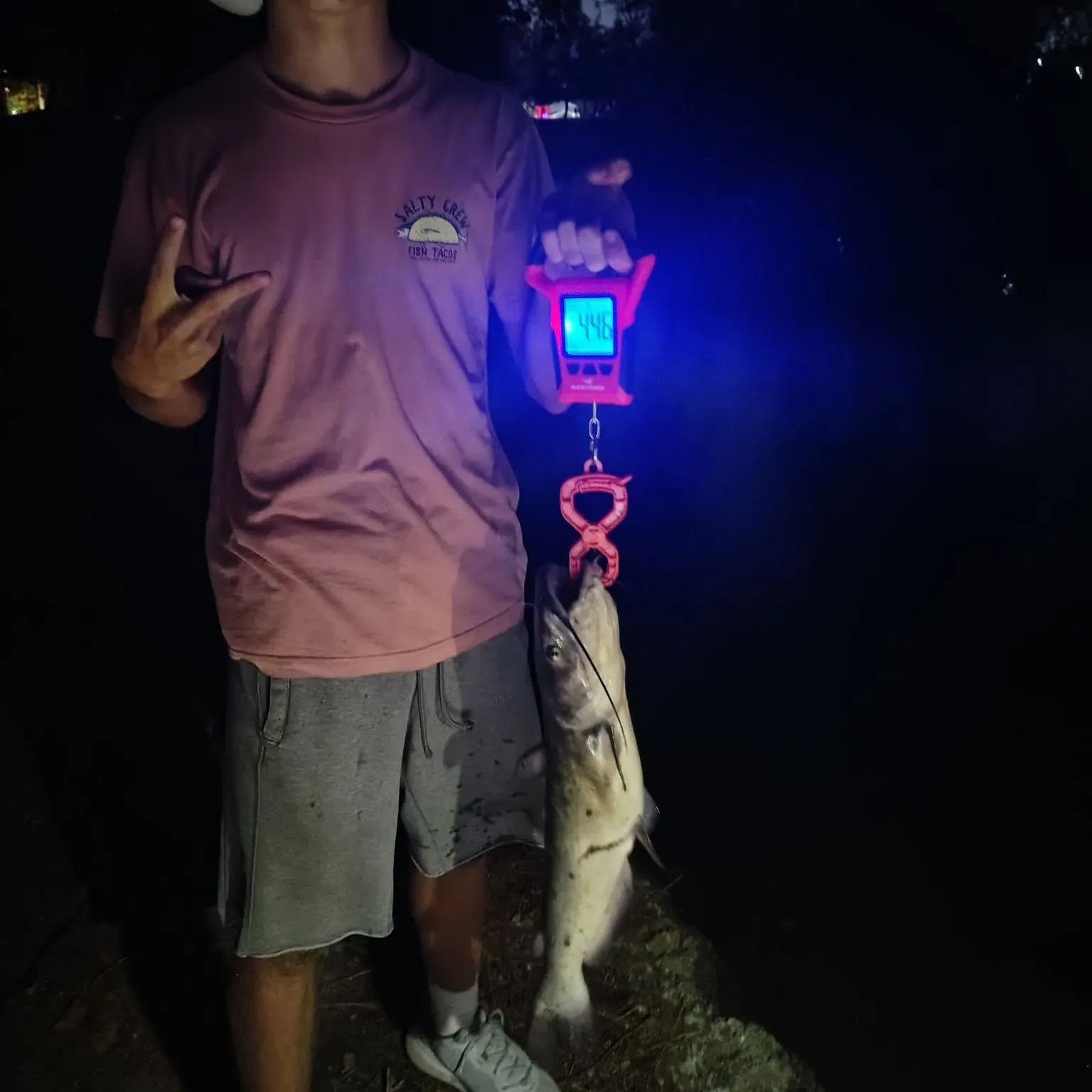 Channel catfish caught on Fishbrain