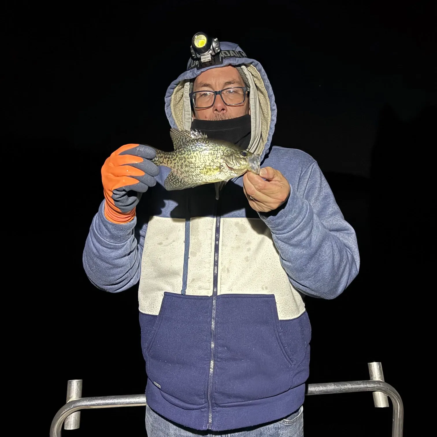Black crappie caught on Fishbrain