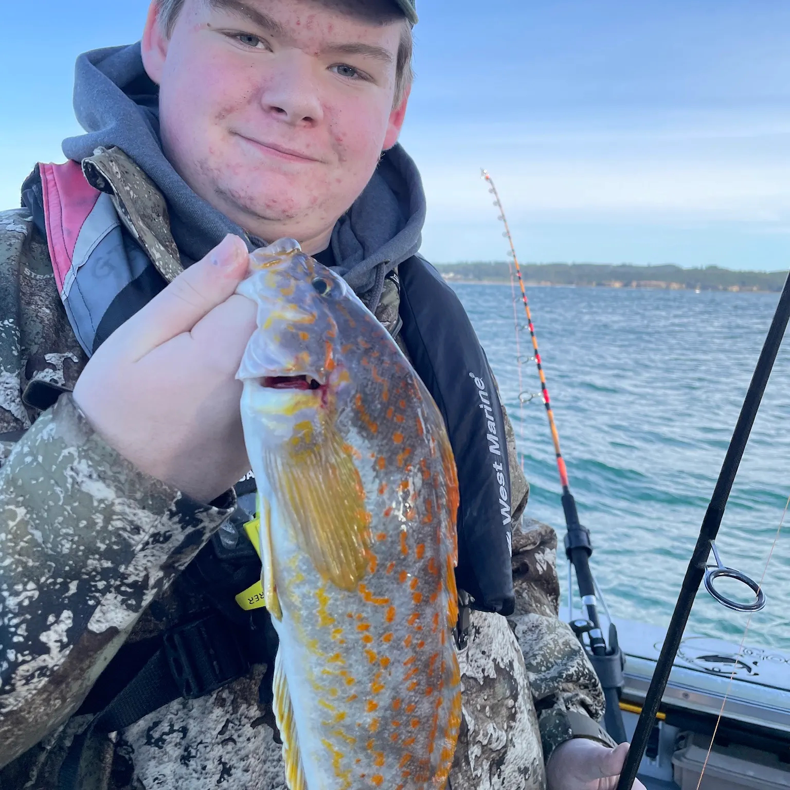 The most recent Kelp greenling catches on Fishbrain
