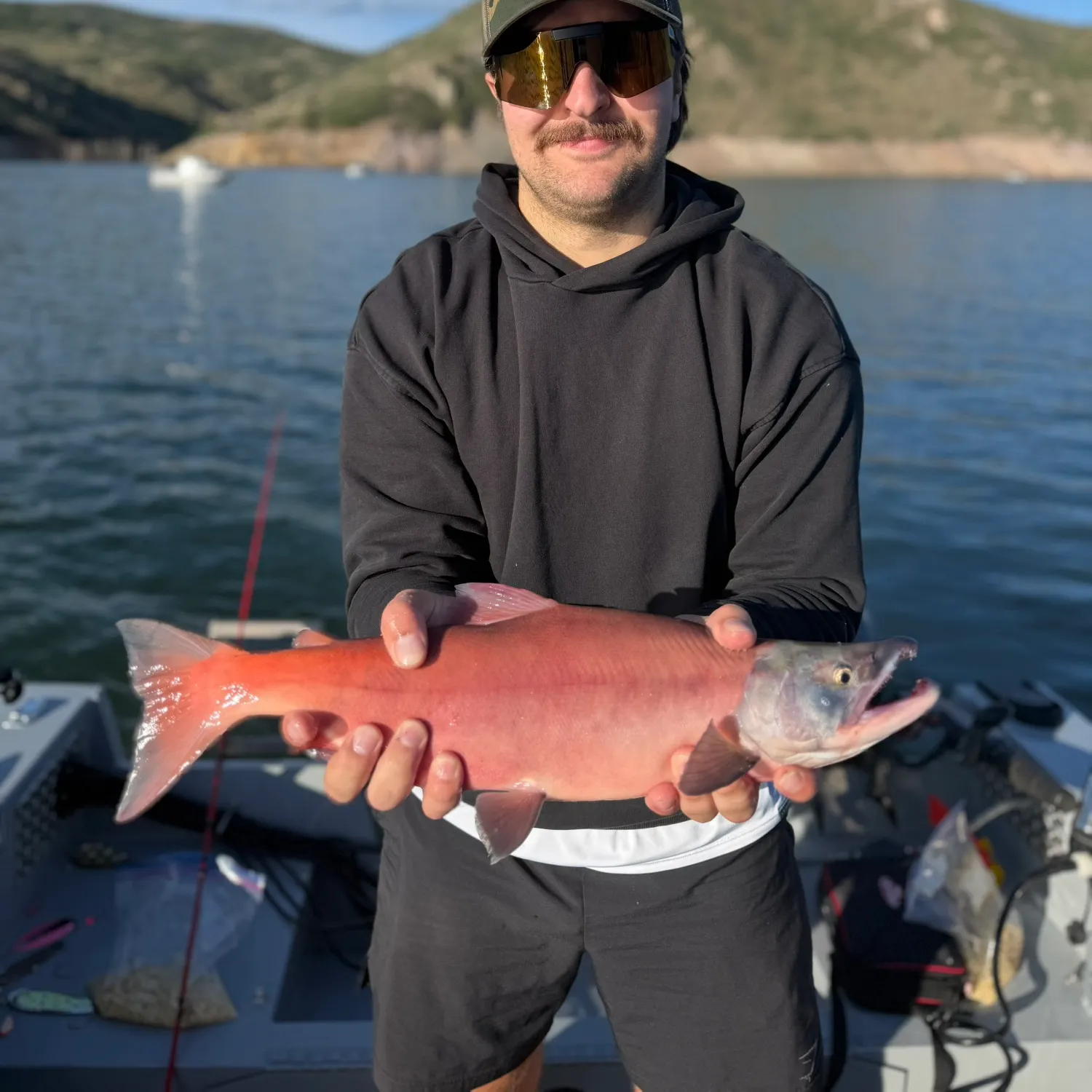 The most recent Kokanee salmon catches on Fishbrain