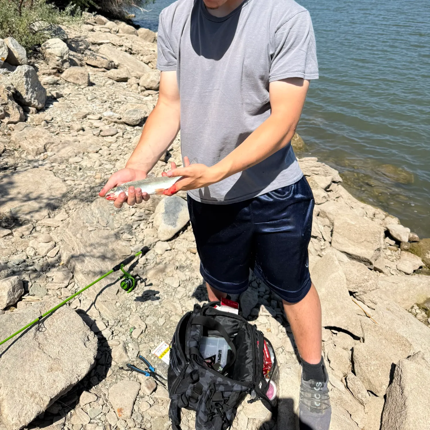 catch