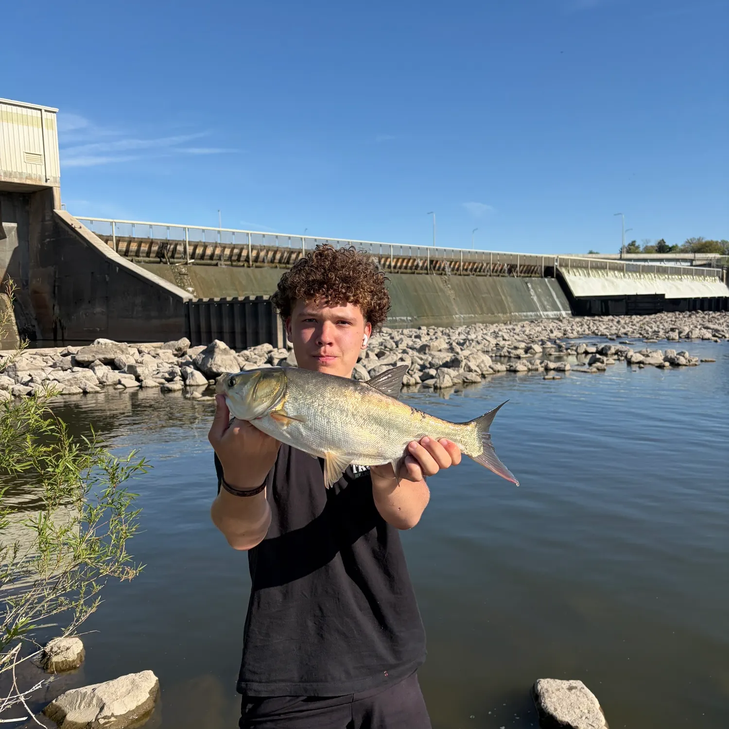 The most recent Silver carp catches on Fishbrain