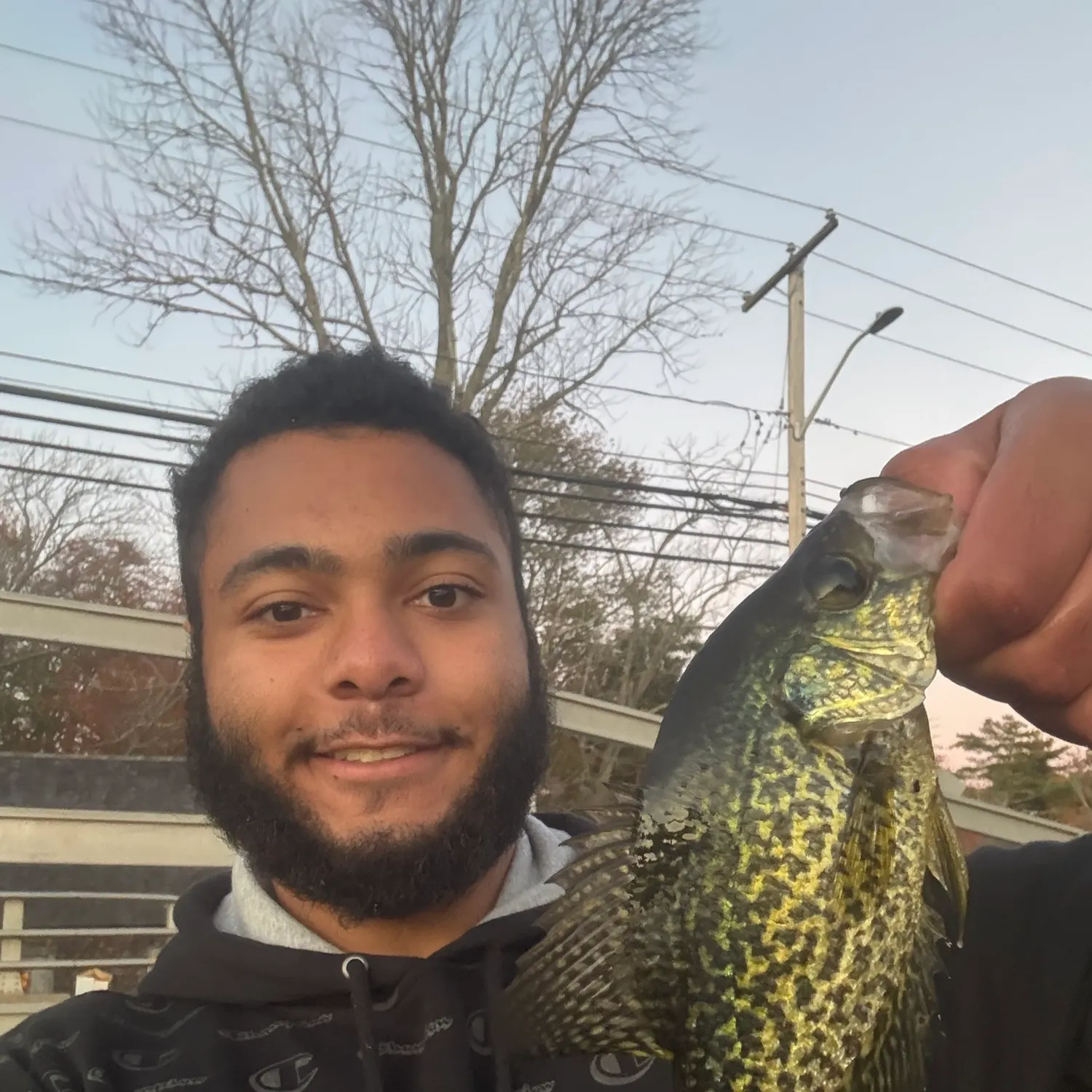 Black crappie caught on Fishbrain