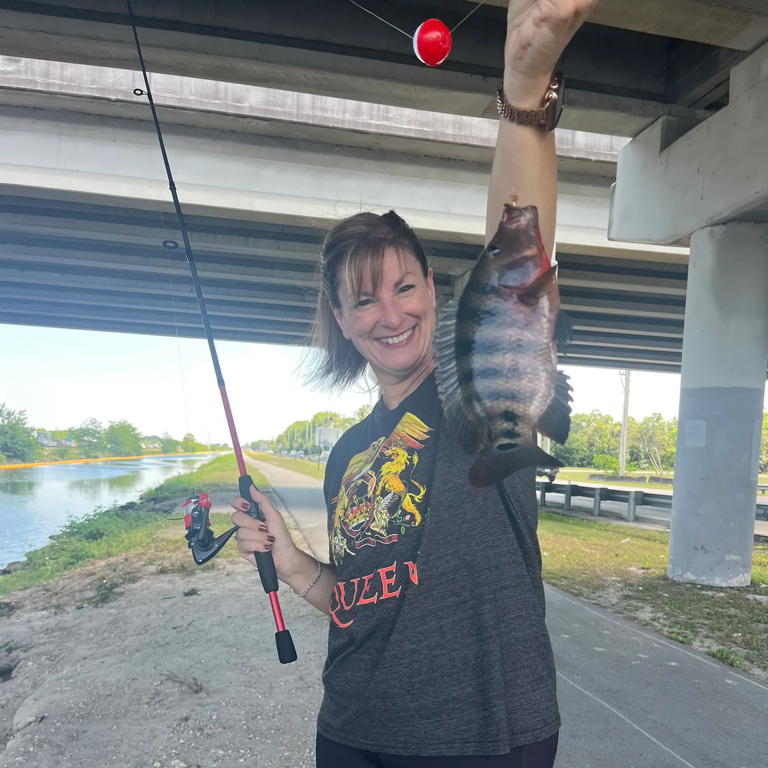 The most recent Sheepshead catches on Fishbrain