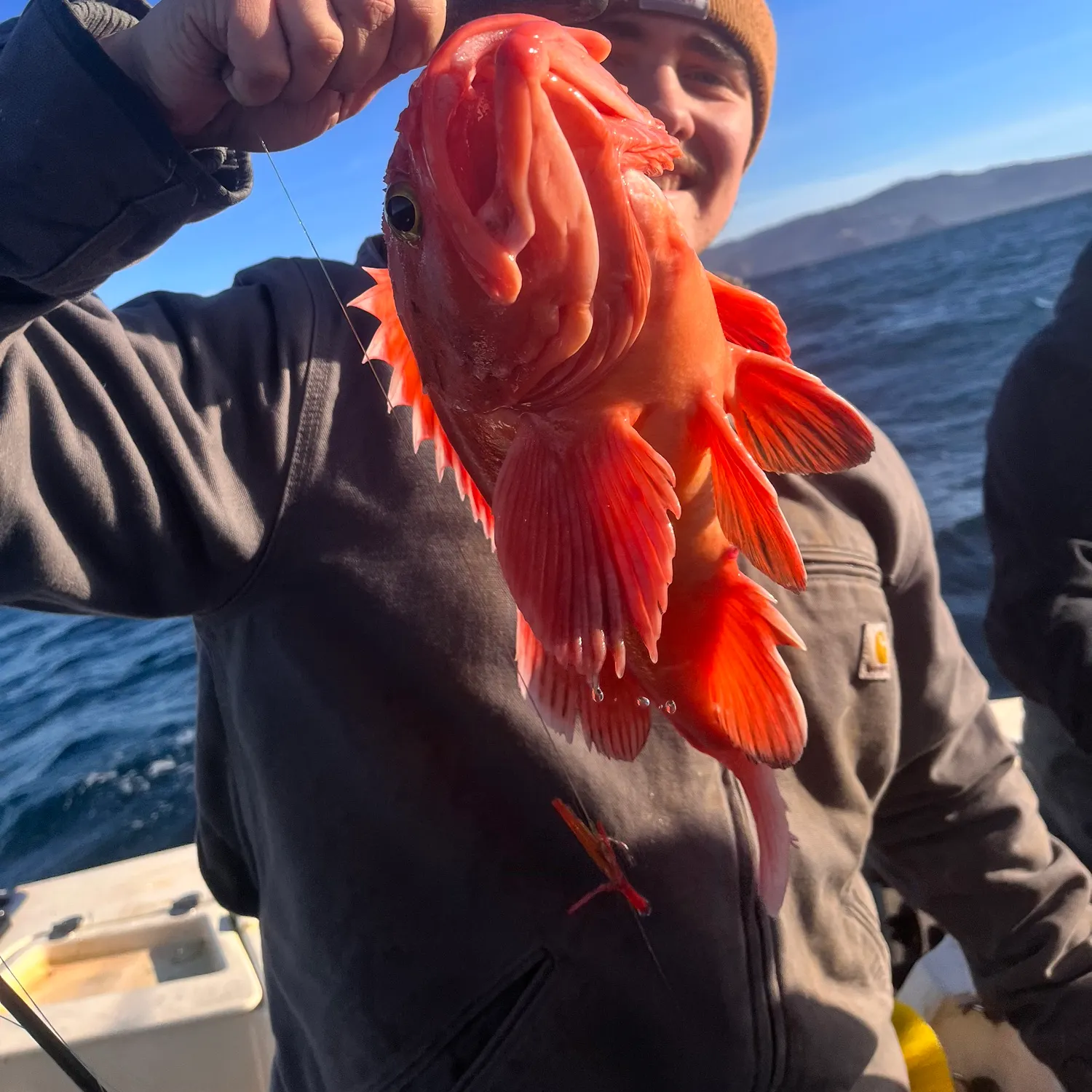 The most recent Yelloweye rockfish catches on Fishbrain