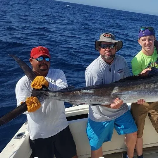 The most recent Atlantic blue marlin catches on Fishbrain