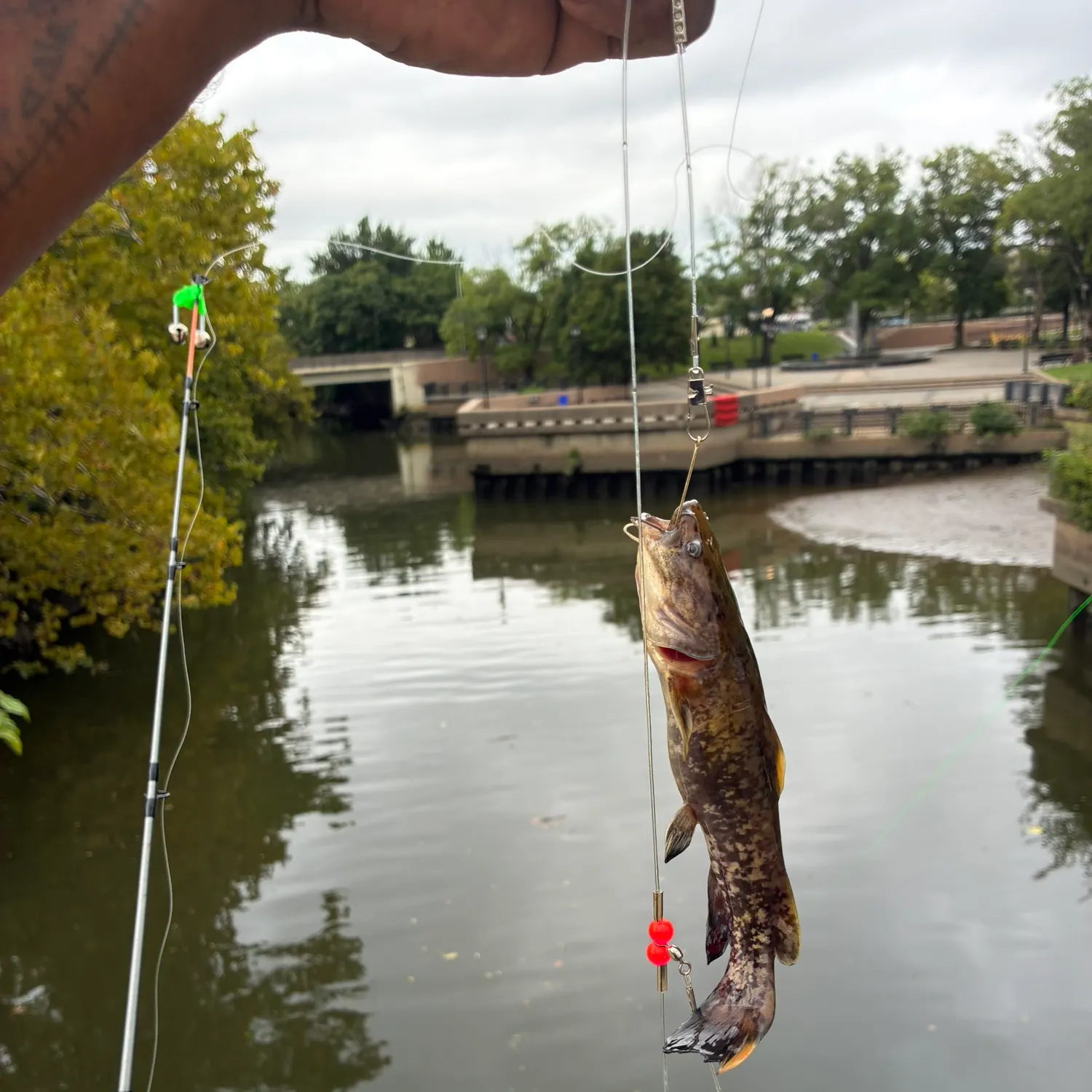 catch