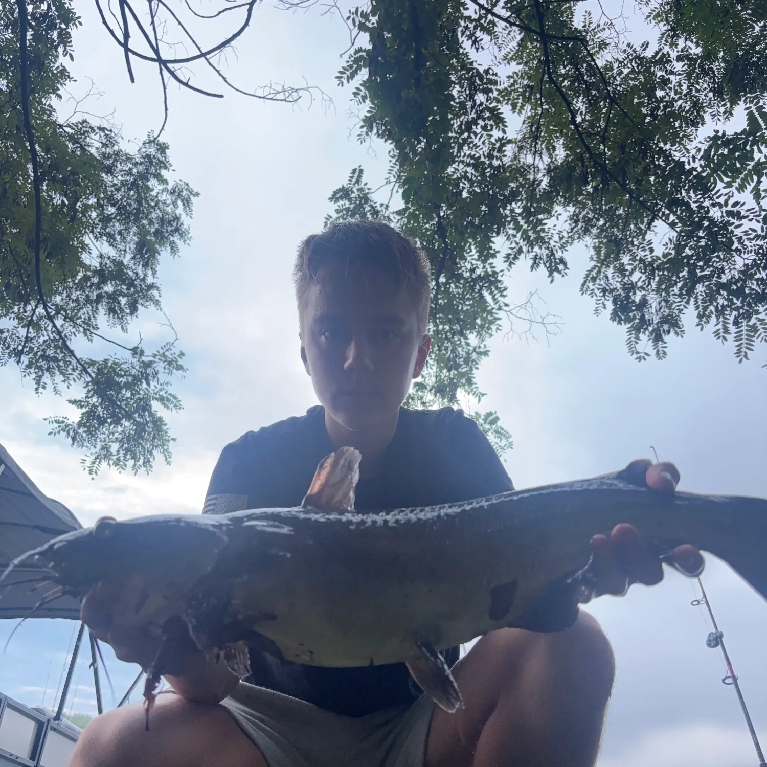 Channel catfish caught on Fishbrain