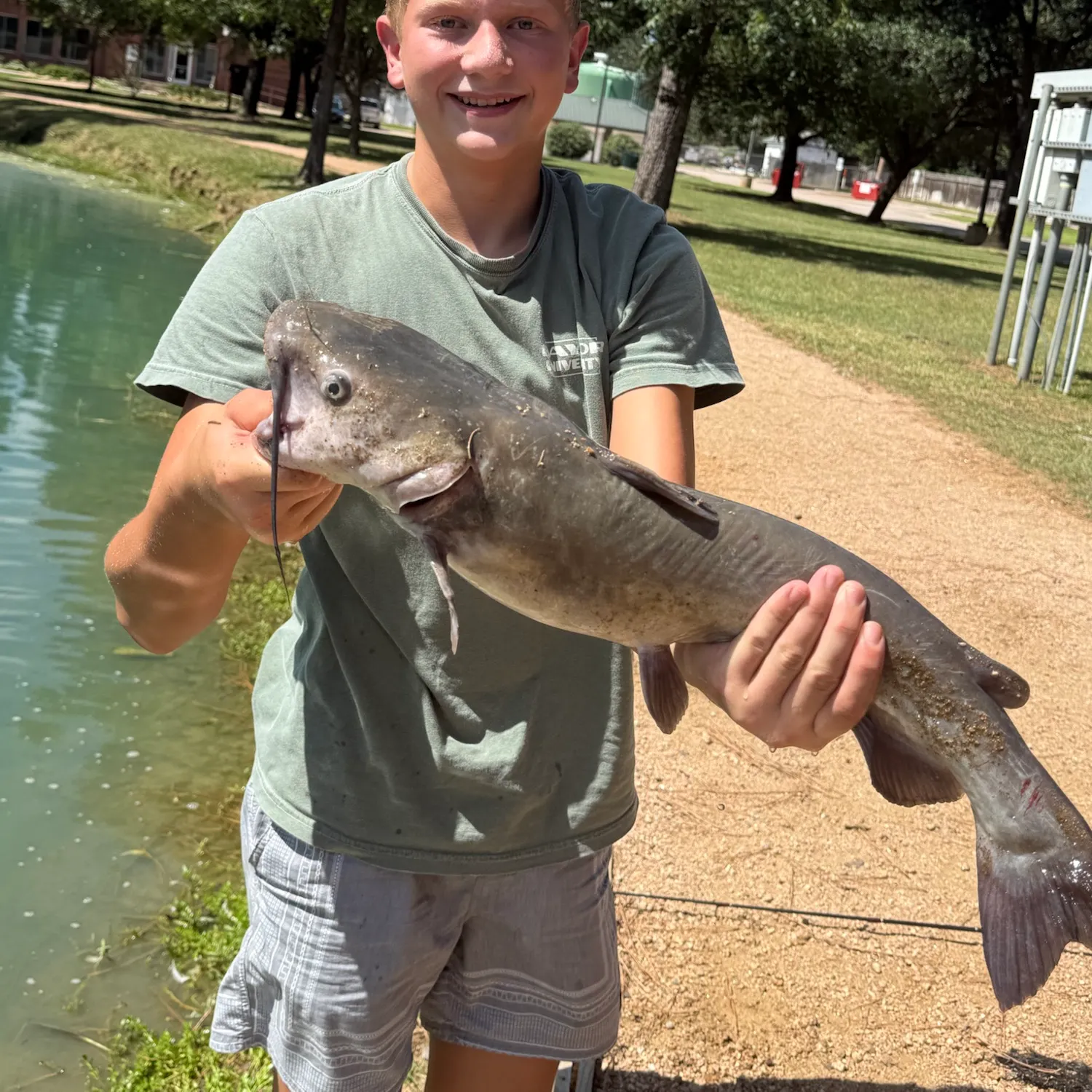 Channel catfish caught on Fishbrain