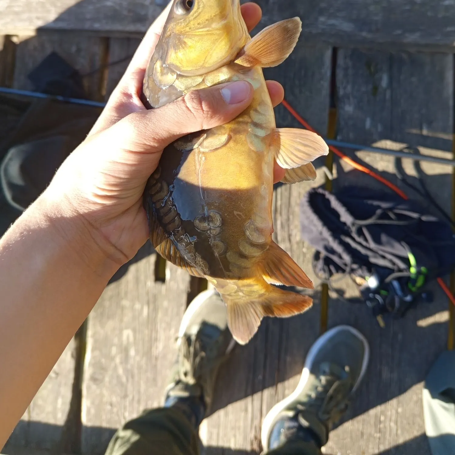 catch