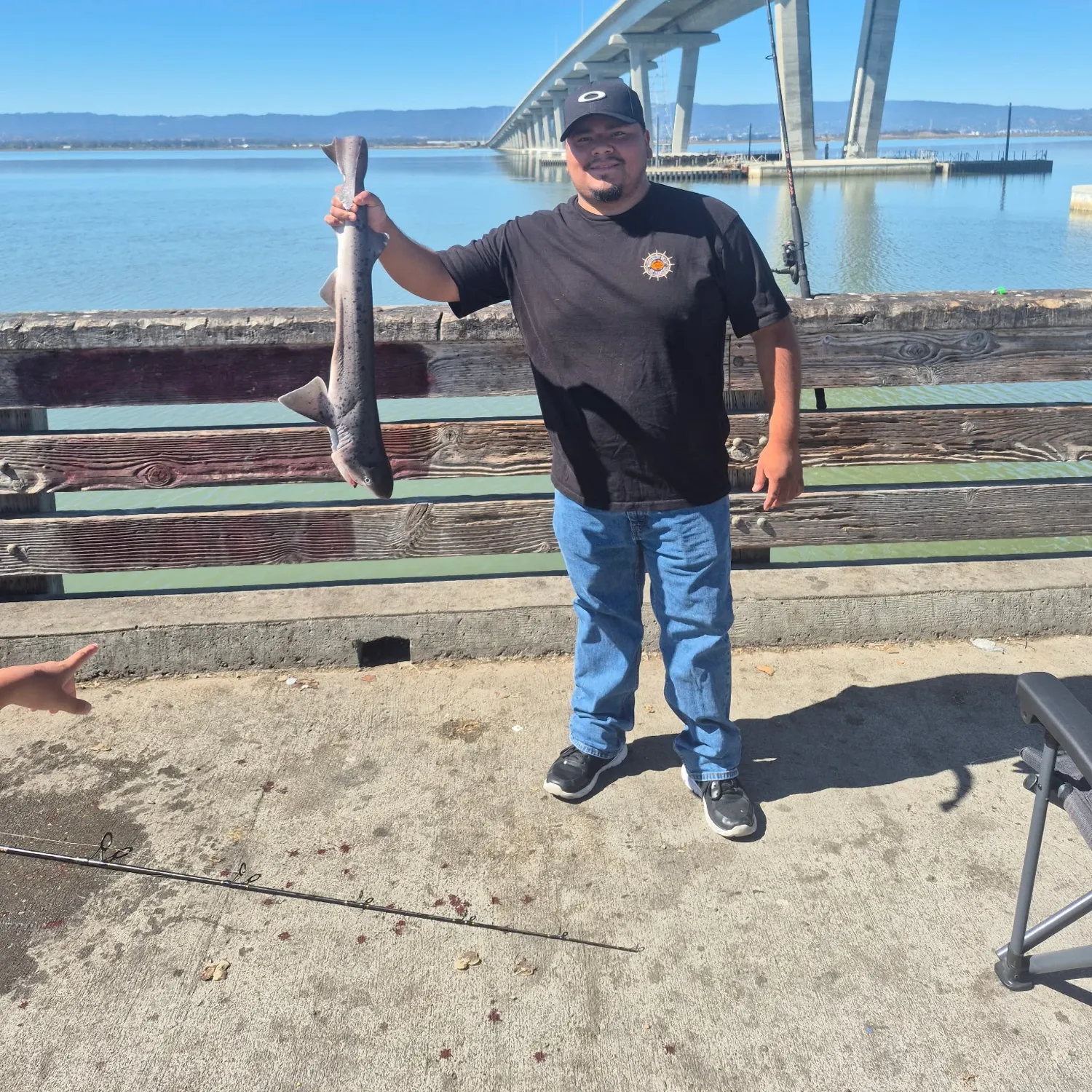 Leopard shark caught on Fishbrain