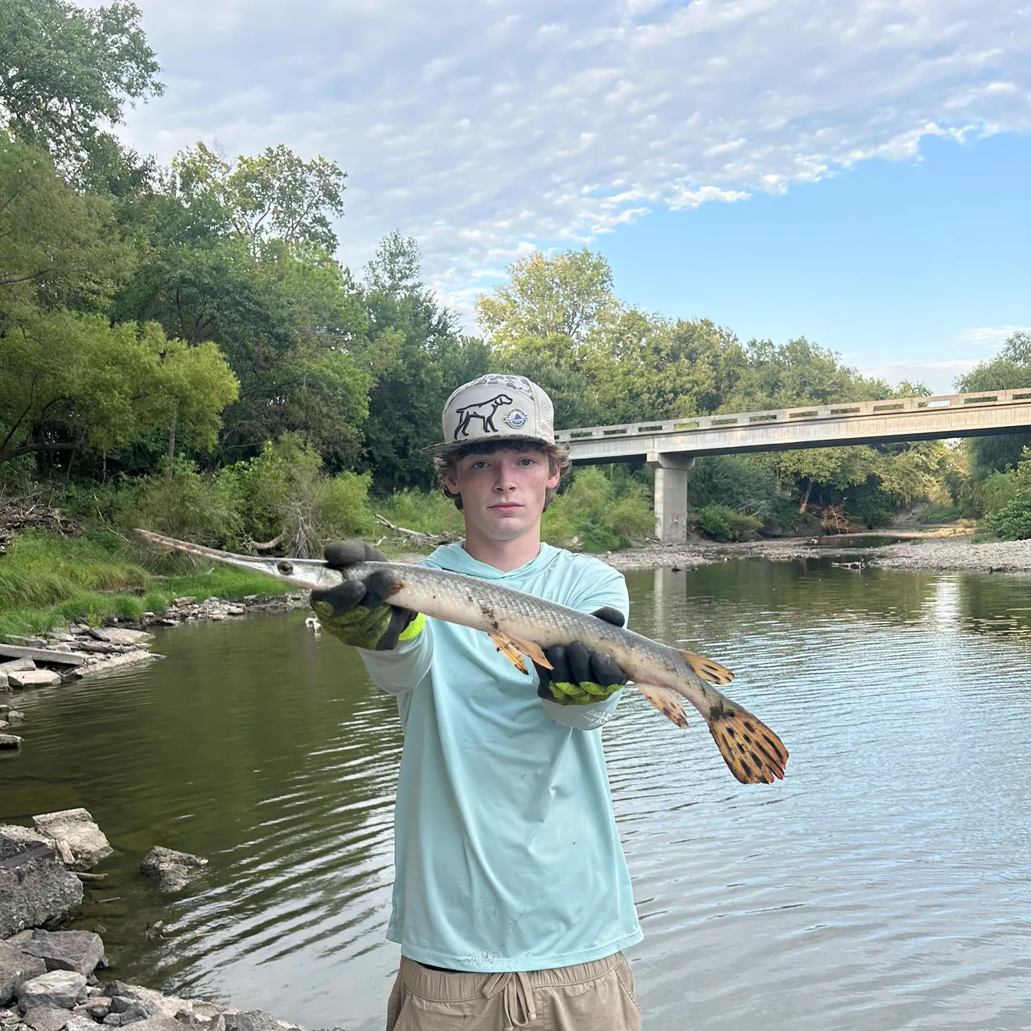 Longnose gar caught on Fishbrain