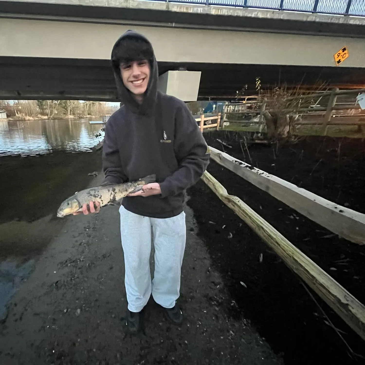 The most recent Largescale sucker catches on Fishbrain