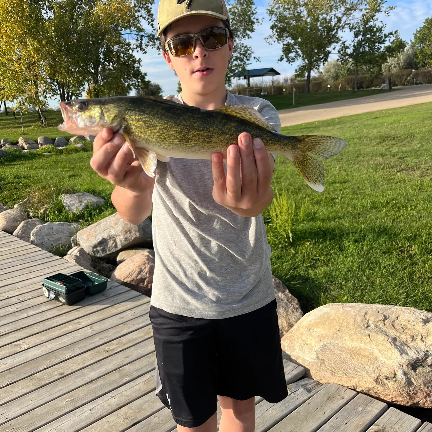 Walleye caught on Fishbrain