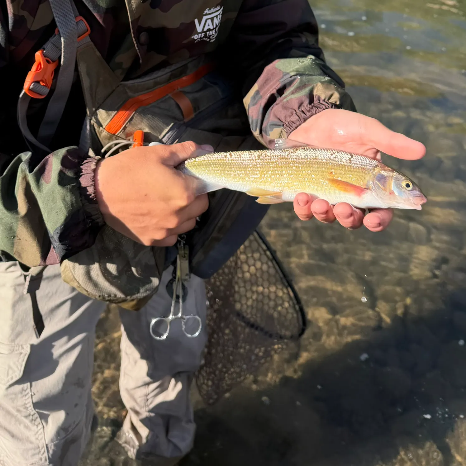 catch