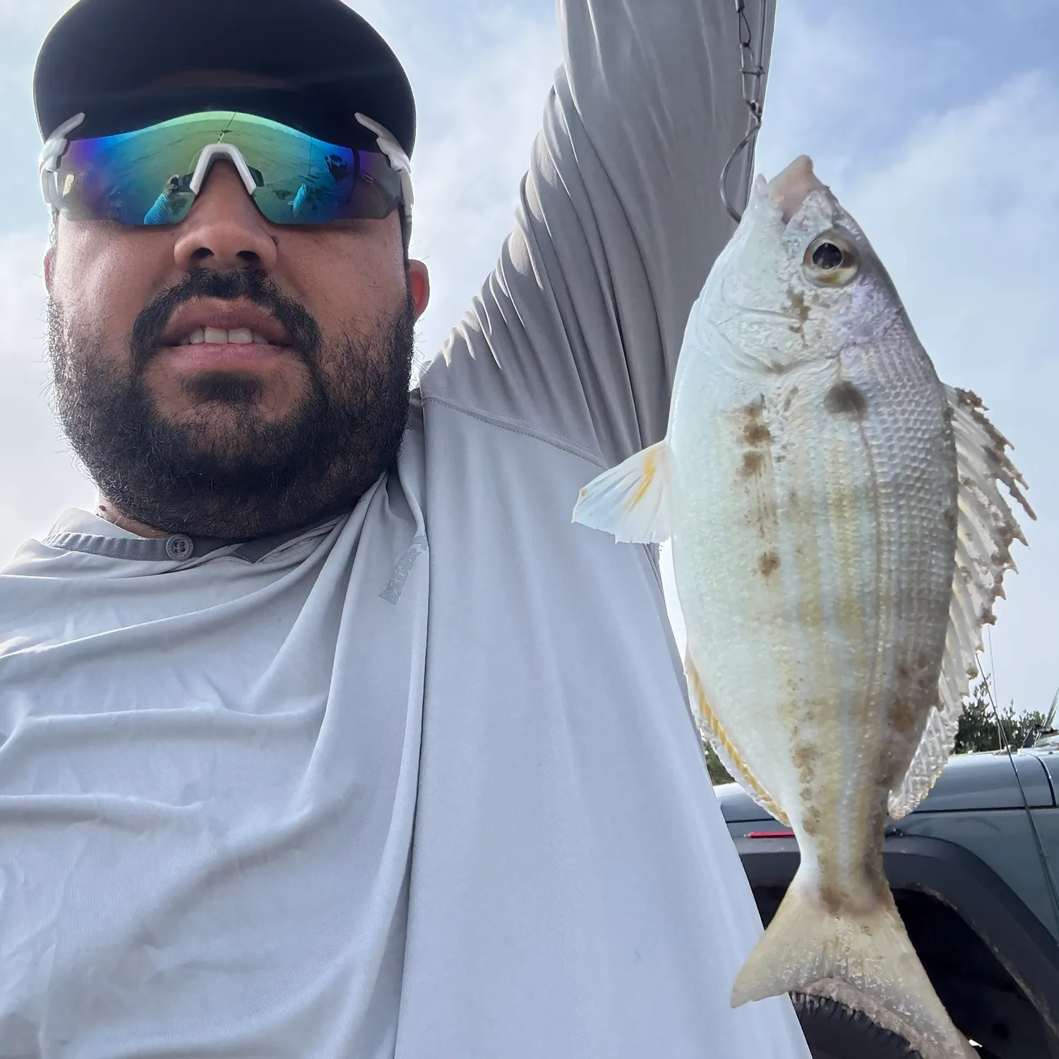 The most recent Pigfish catches on Fishbrain