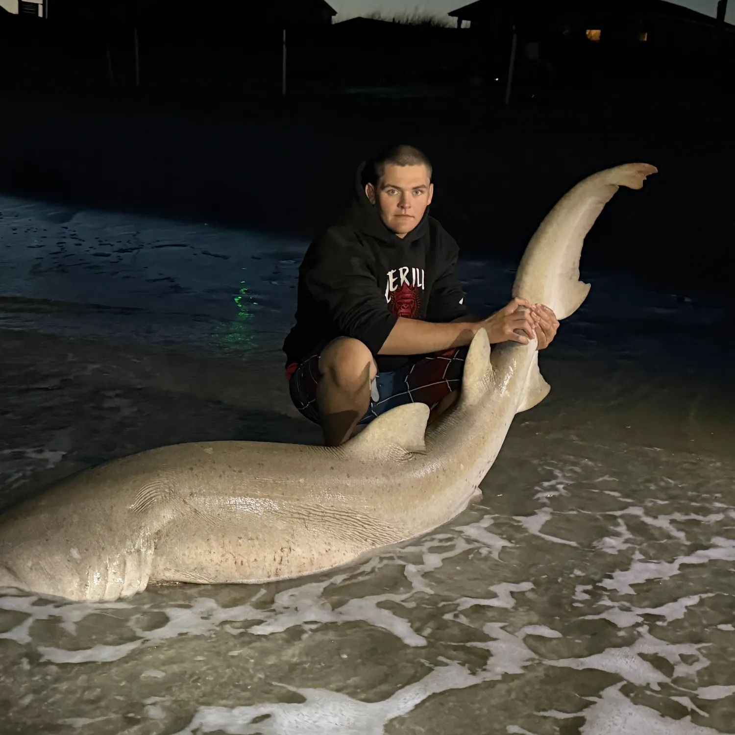 The most recent Sand tiger shark catches on Fishbrain