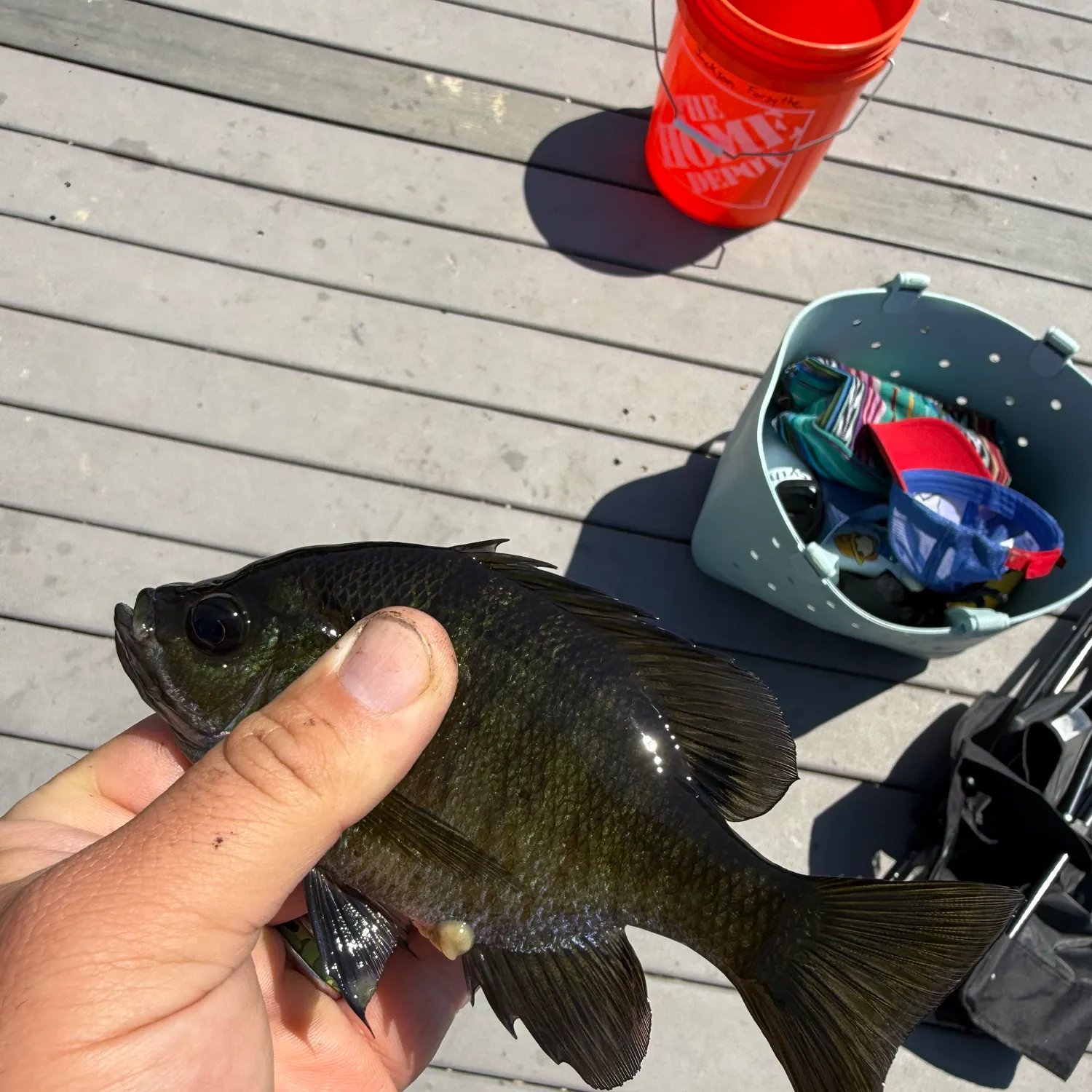 catch