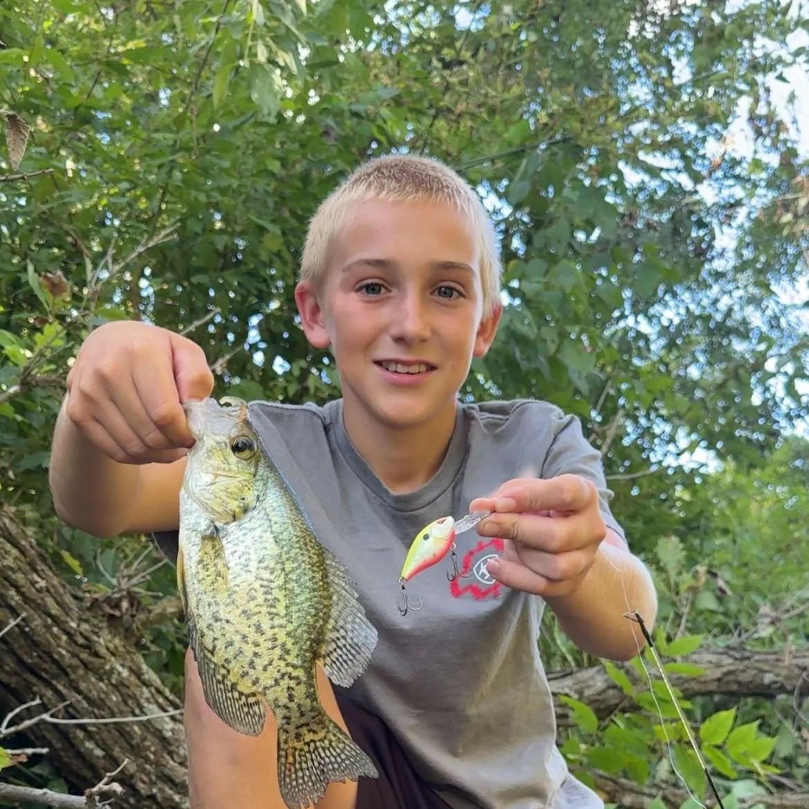 The most recent Black crappie catches on Fishbrain