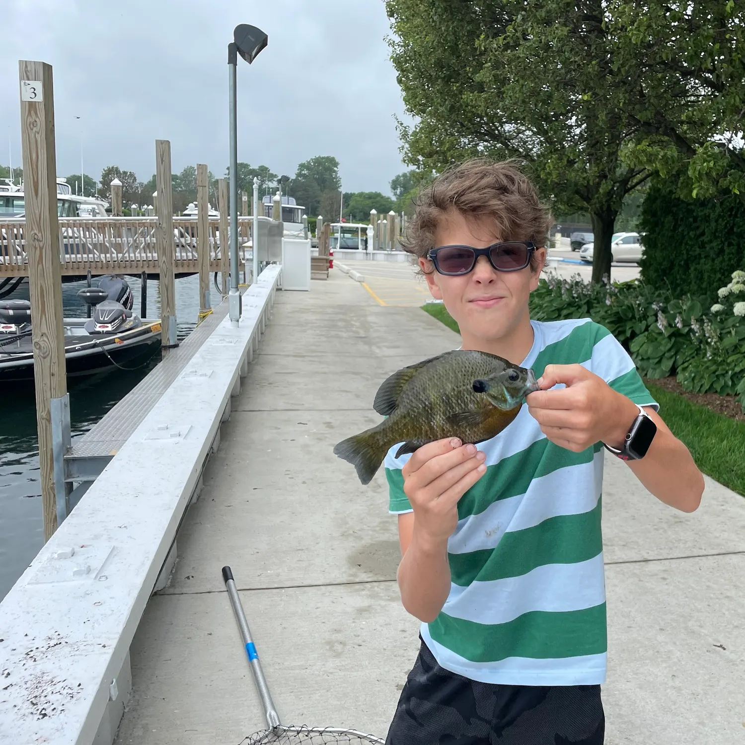 Greengill hybrid caught on Fishbrain