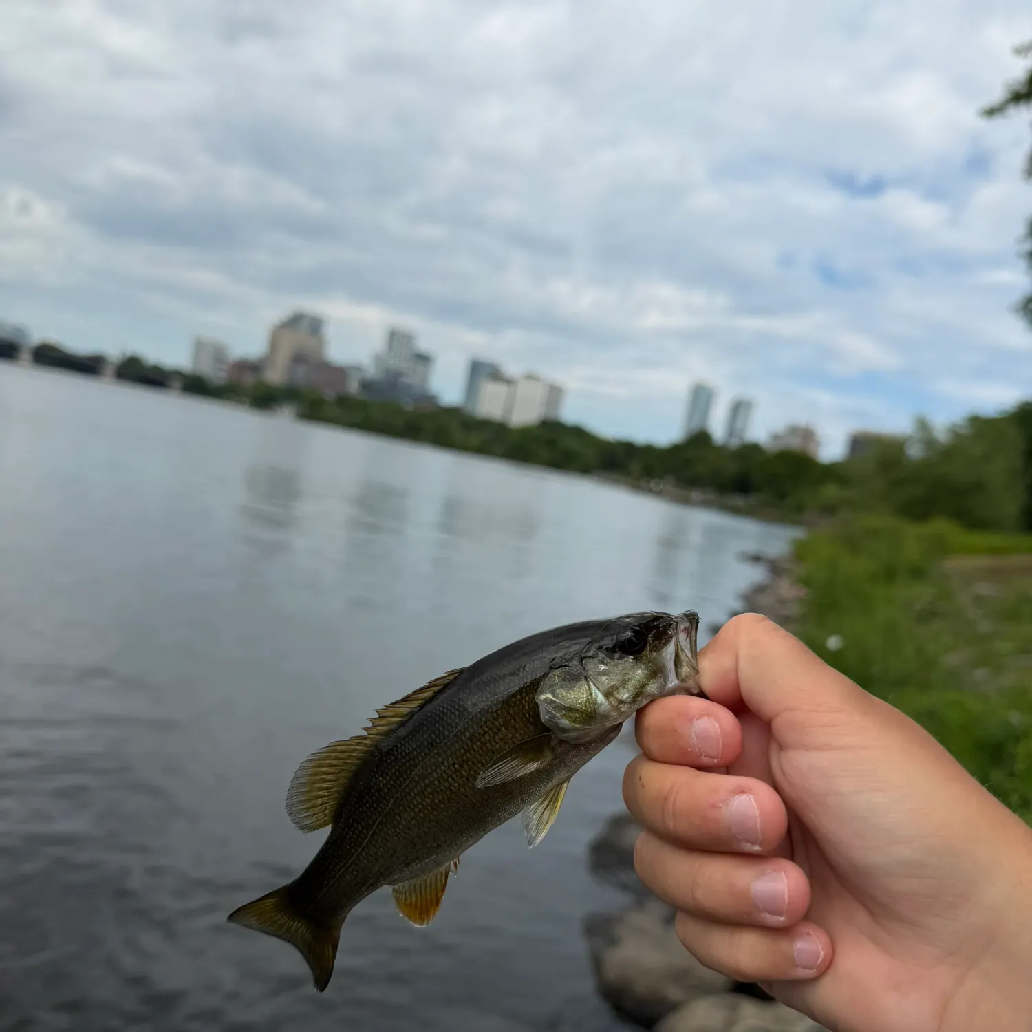 catch