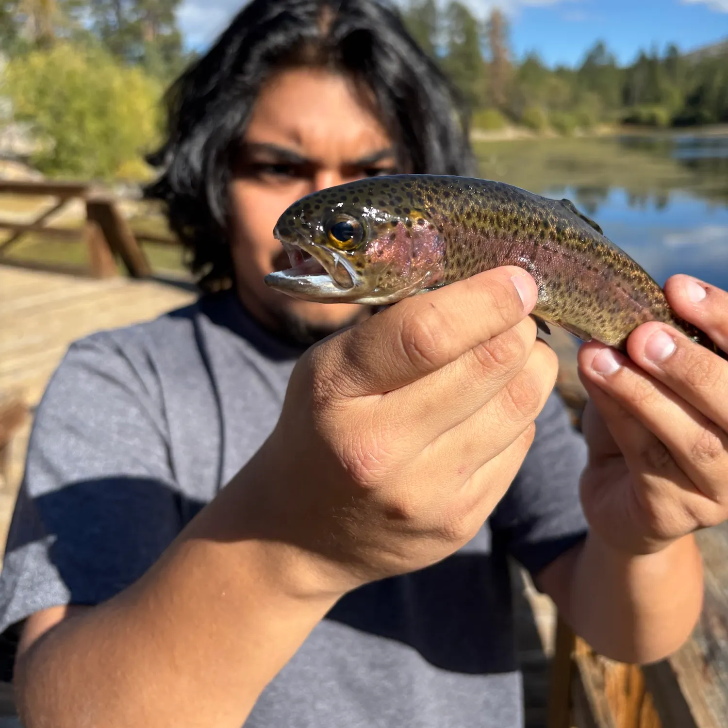 Rainbow trout caught on Fishbrain