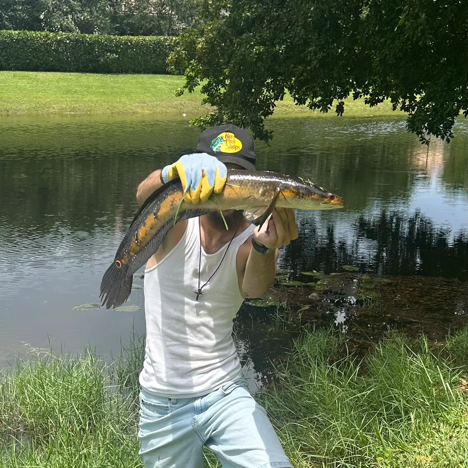 catch
