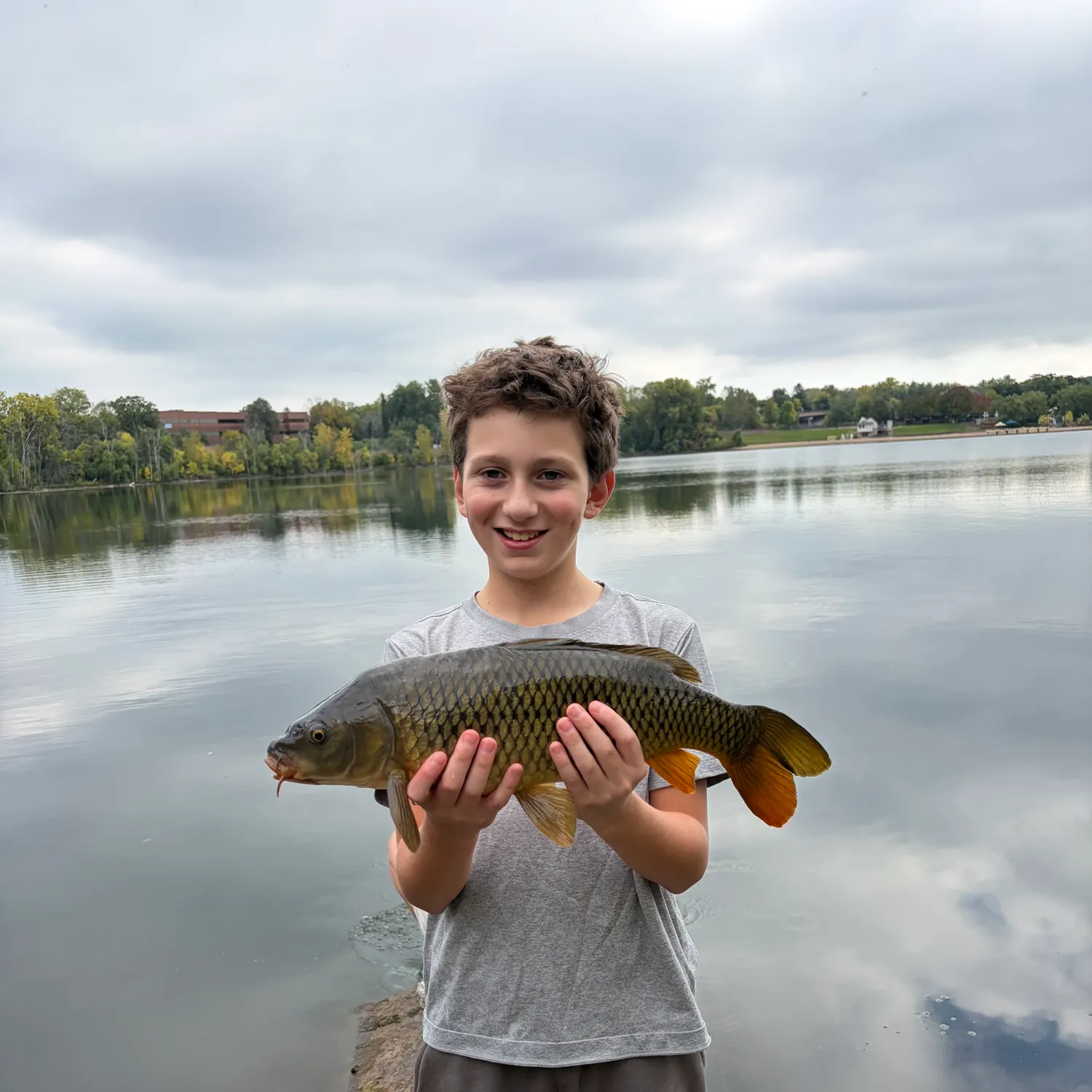 Common carp caught on Fishbrain