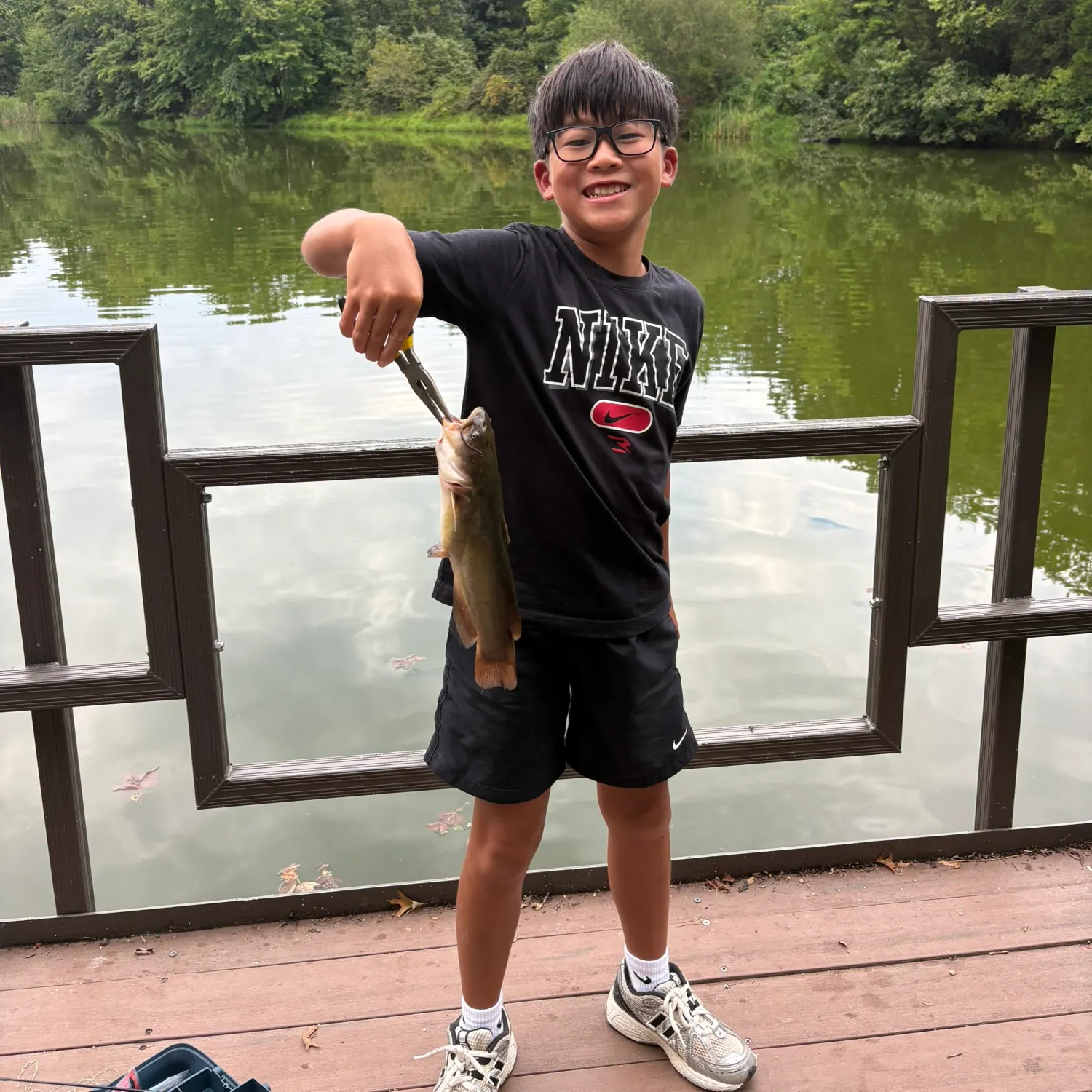 Yellow bullhead caught on Fishbrain