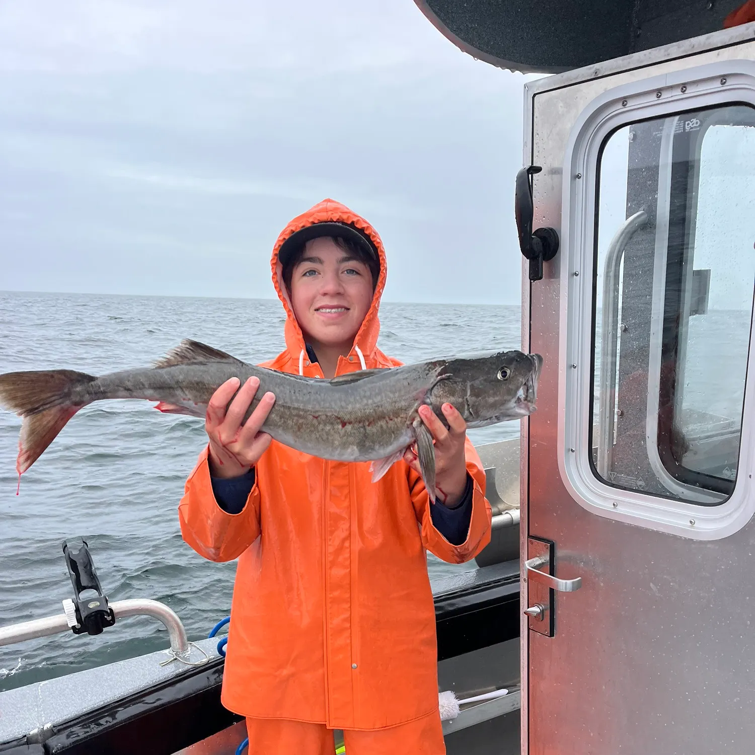The most recent Sablefish catches on Fishbrain