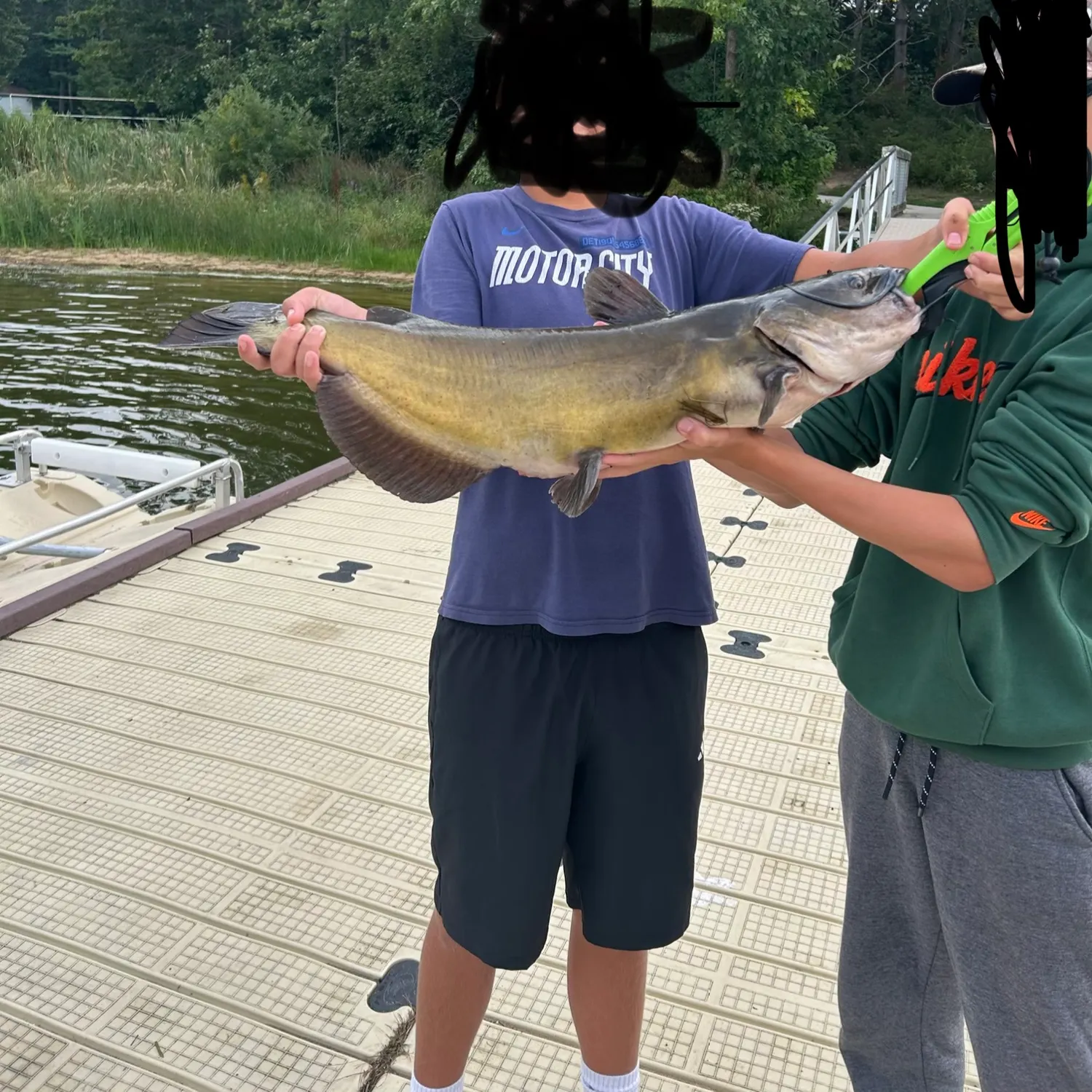 Channel catfish caught on Fishbrain