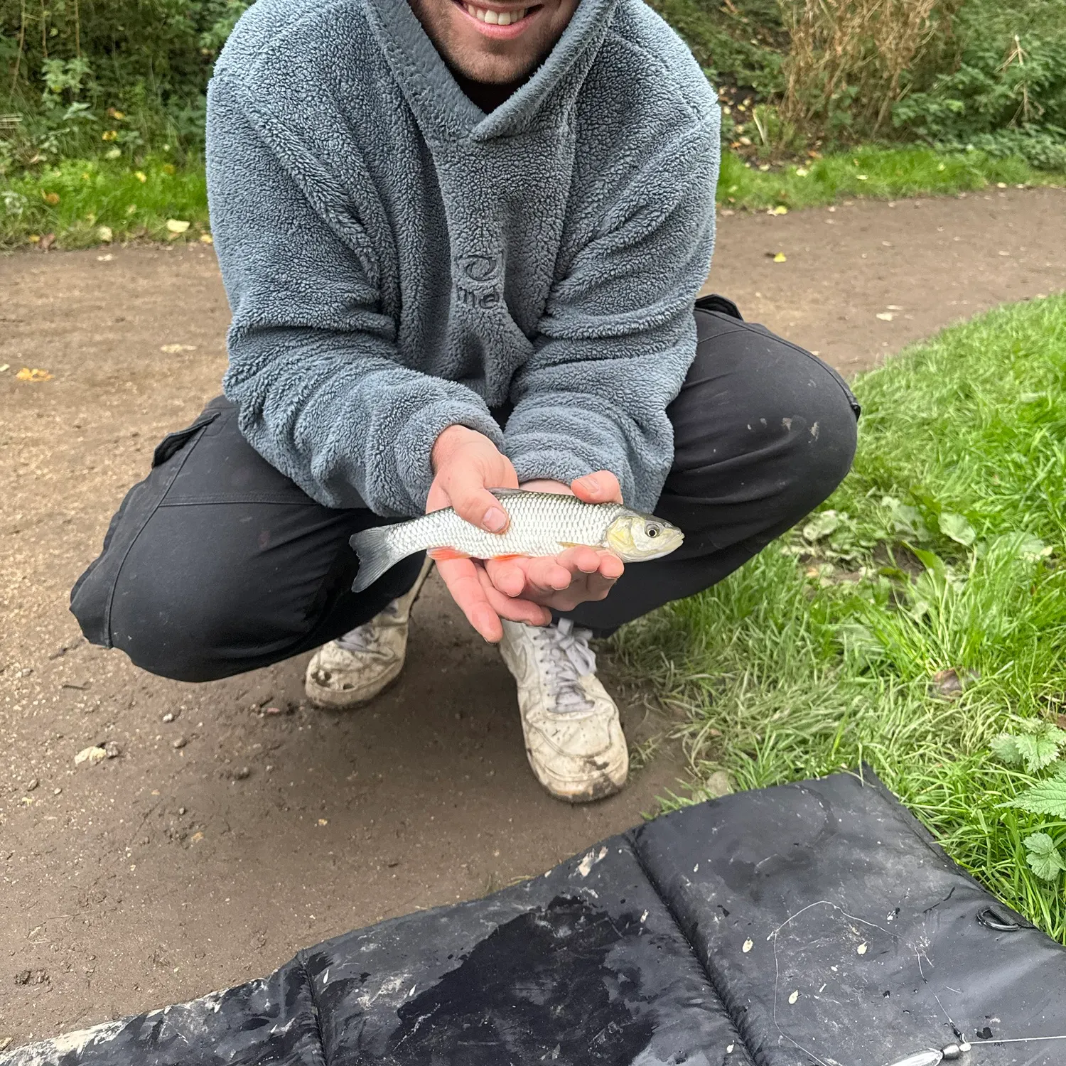 Common dace caught on Fishbrain