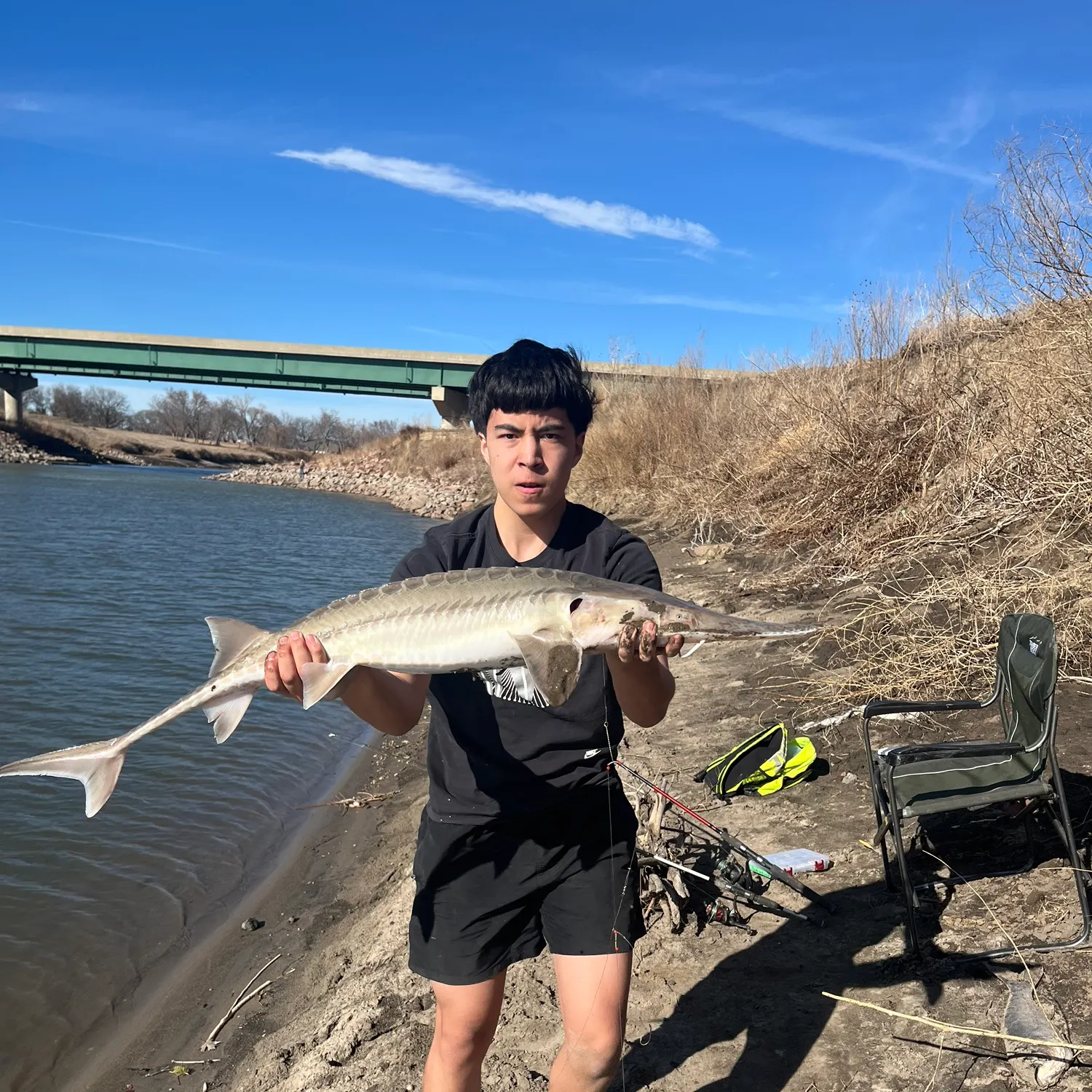 The most recent Pallid sturgeon catches on Fishbrain