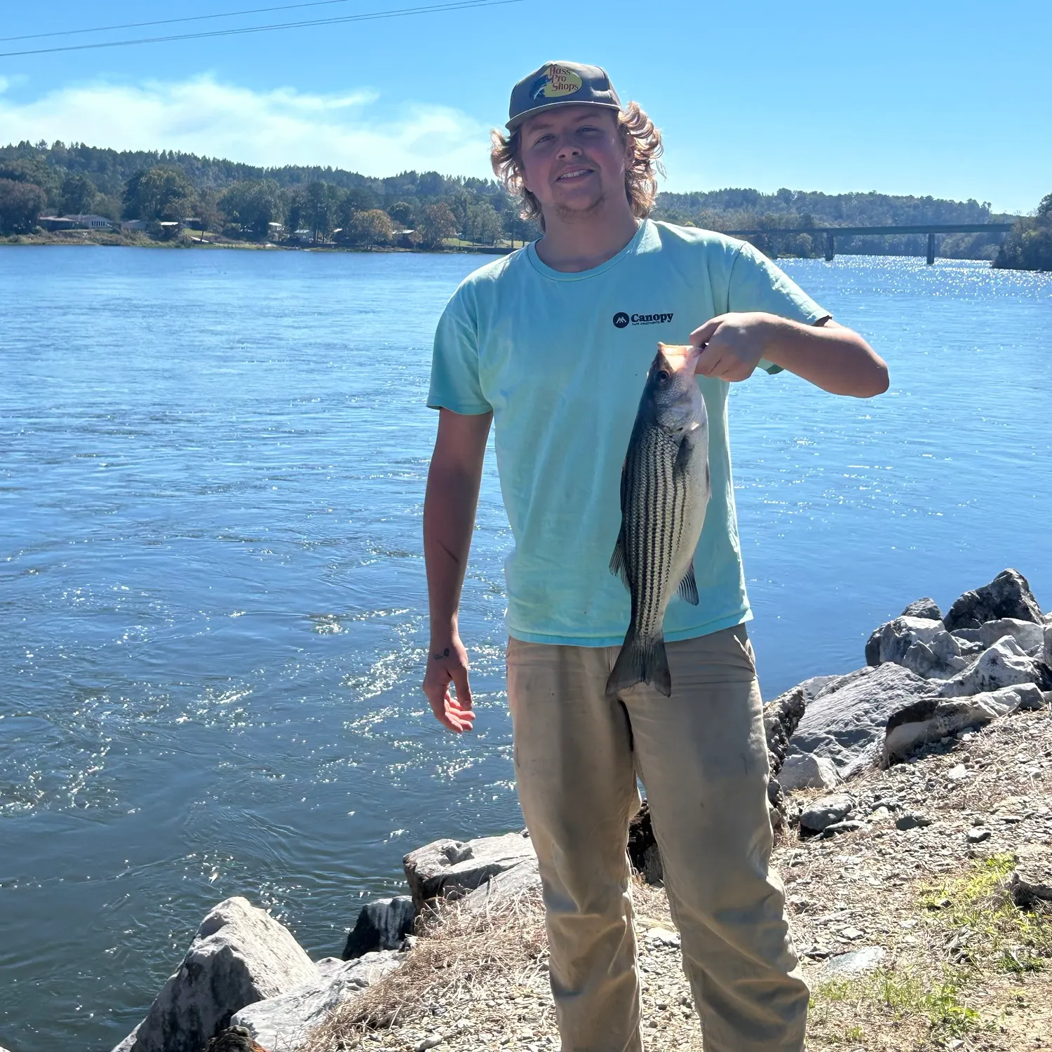 Striped bass caught on Fishbrain