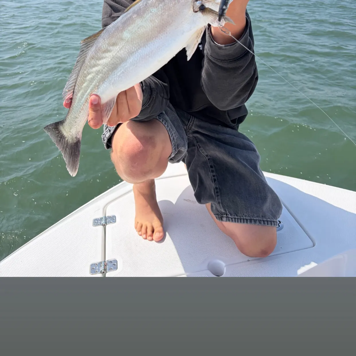 The most recent Orangemouth weakfish catches on Fishbrain