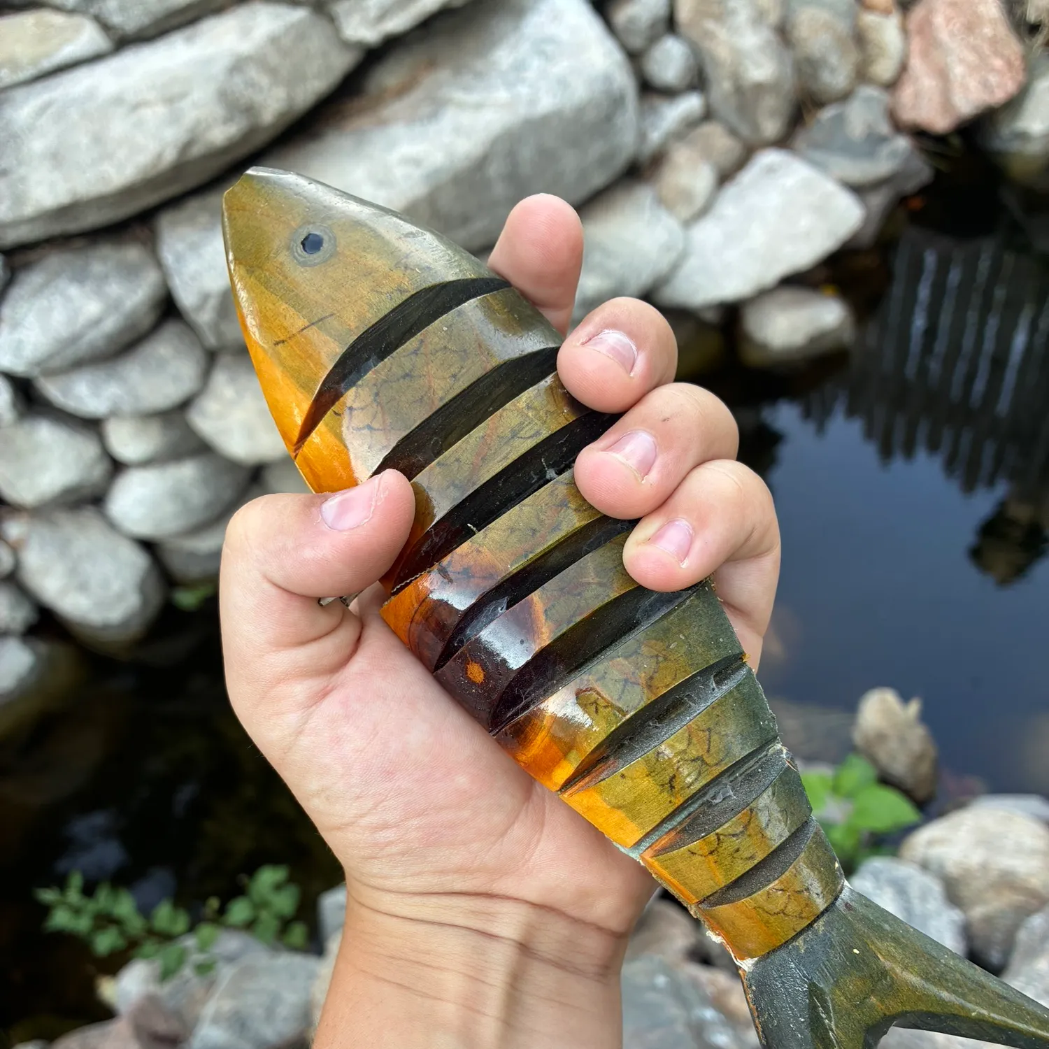Yellow perch caught on Fishbrain