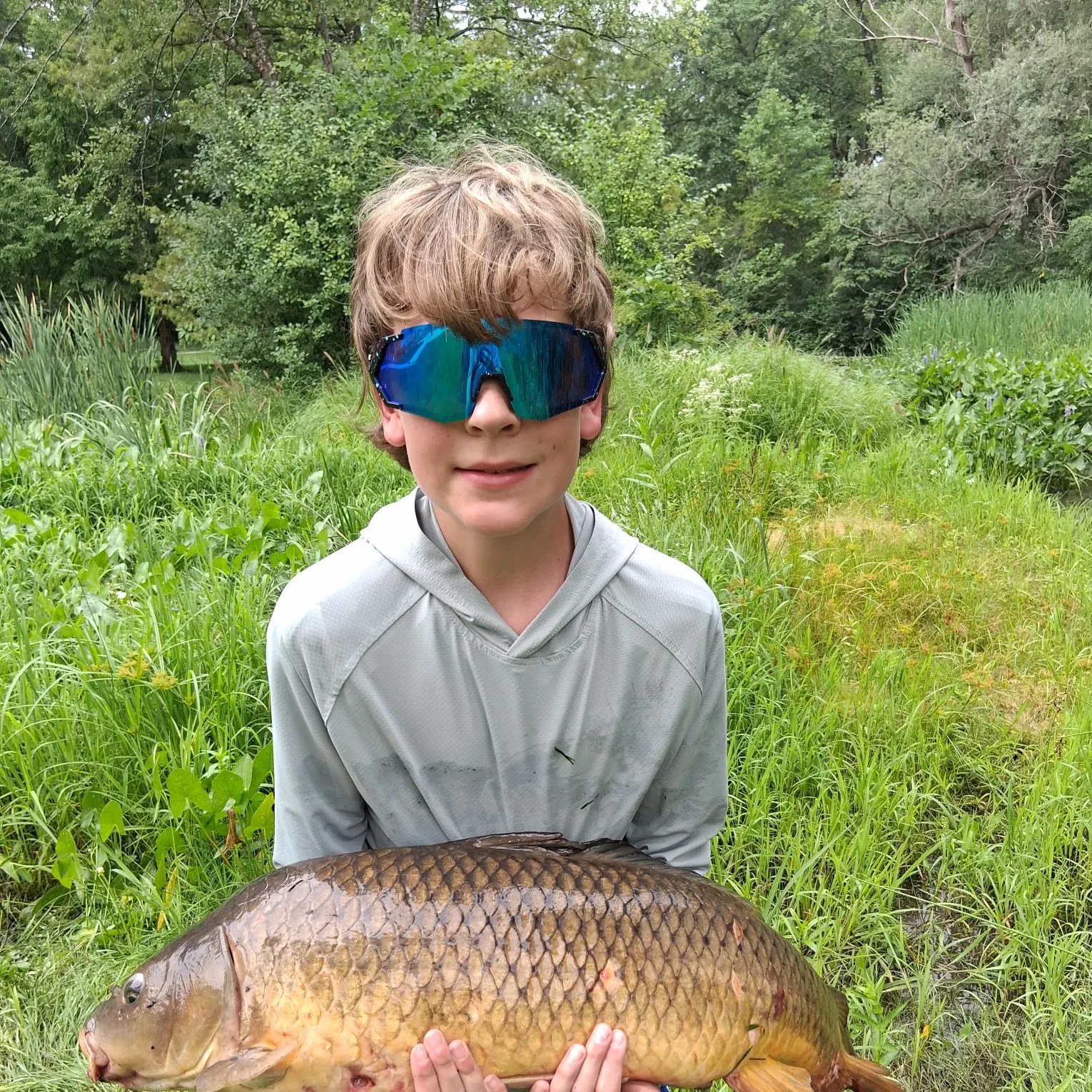 Common carp caught on Fishbrain