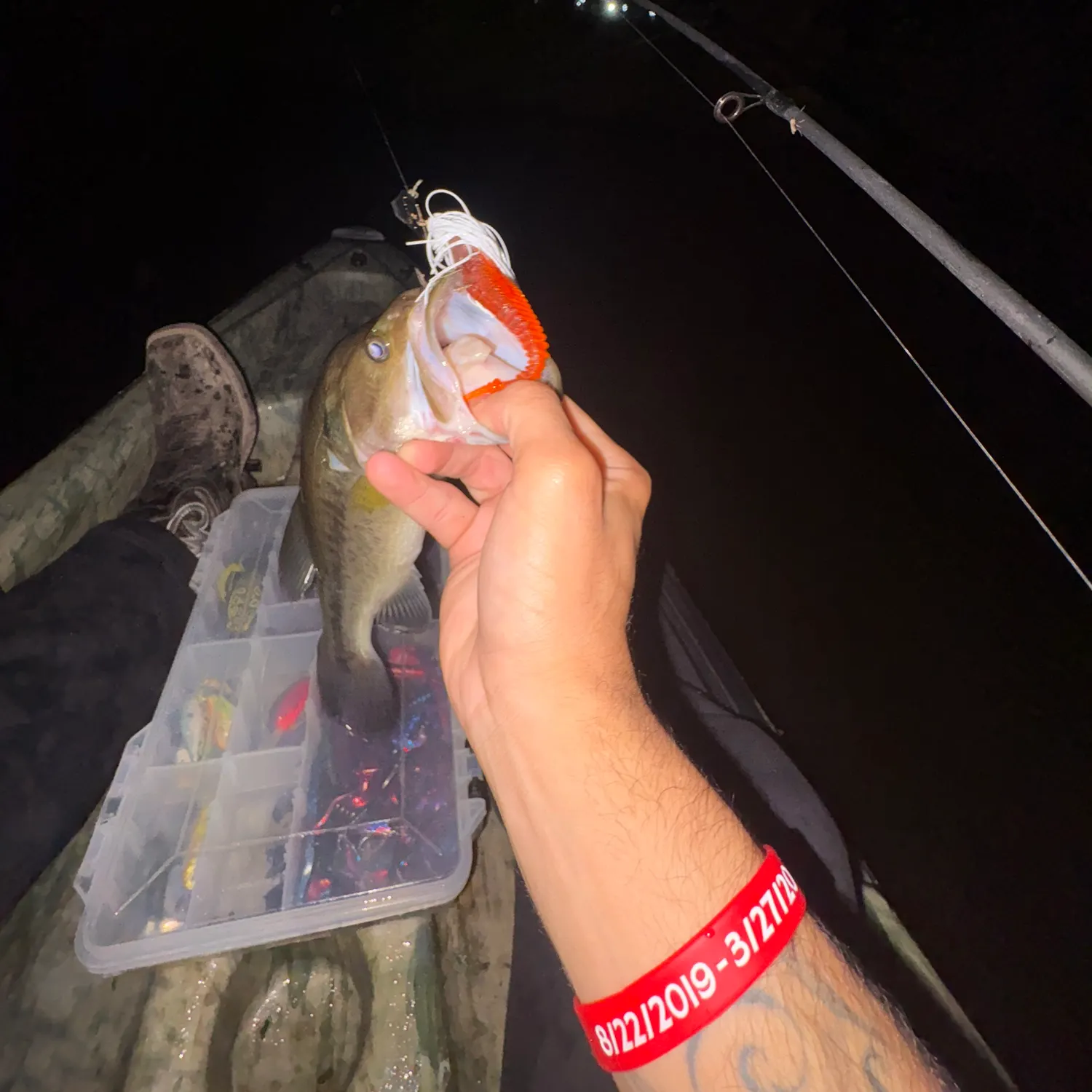 Largemouth bass caught on Fishbrain