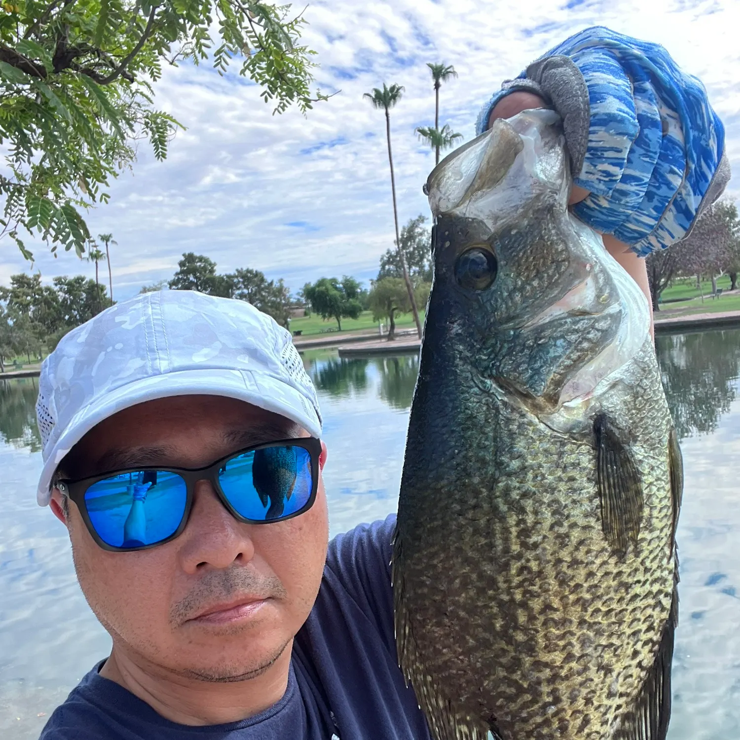 Black crappie caught on Fishbrain