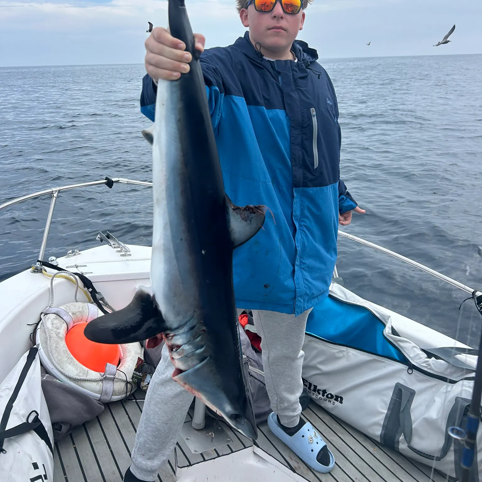 The most recent Shortfin mako shark catches on Fishbrain