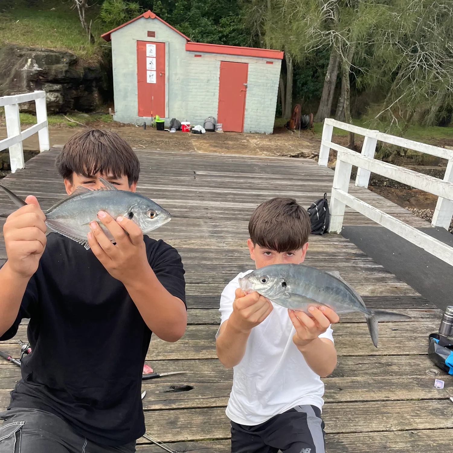 The most recent White trevally catches on Fishbrain