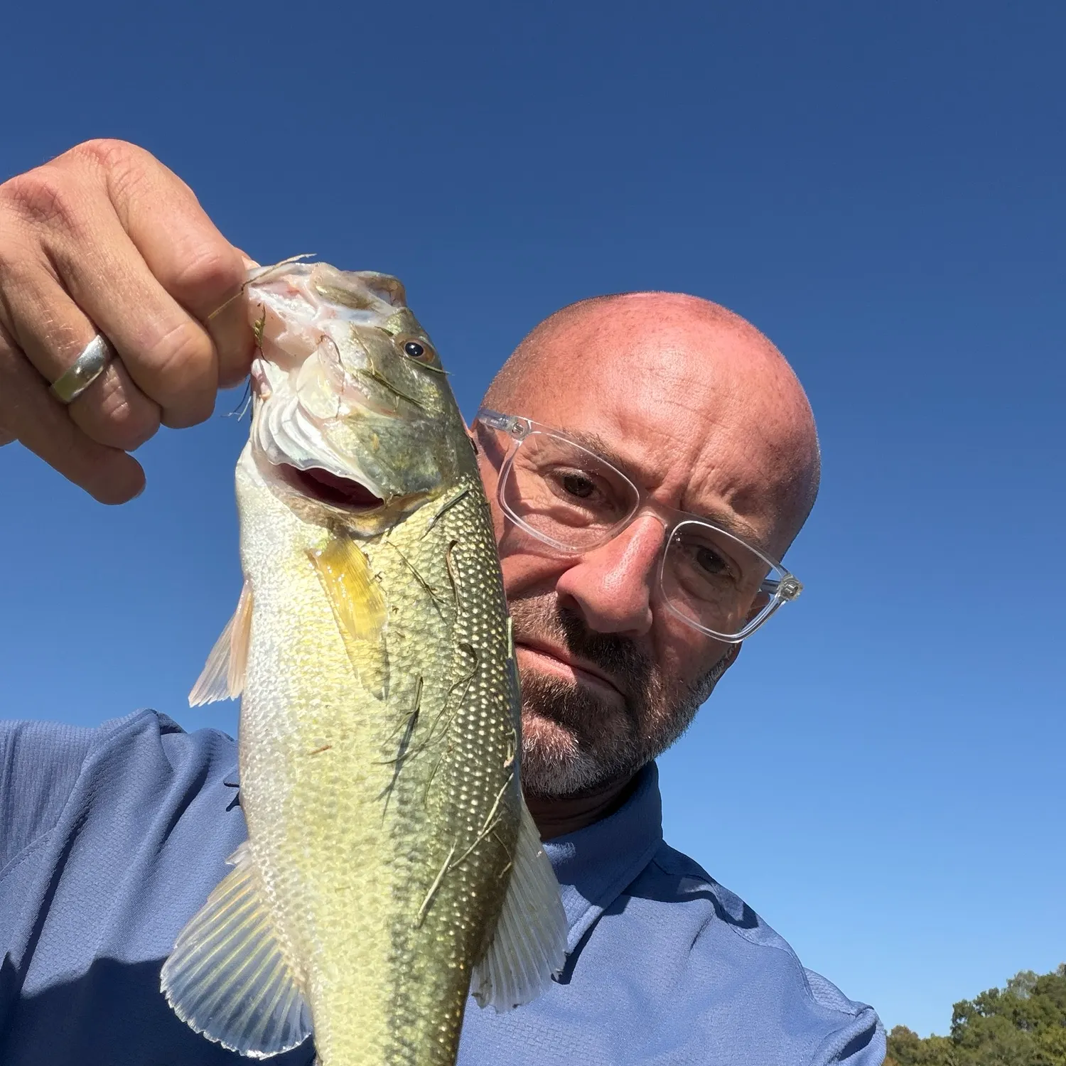 Spotted bass caught on Fishbrain