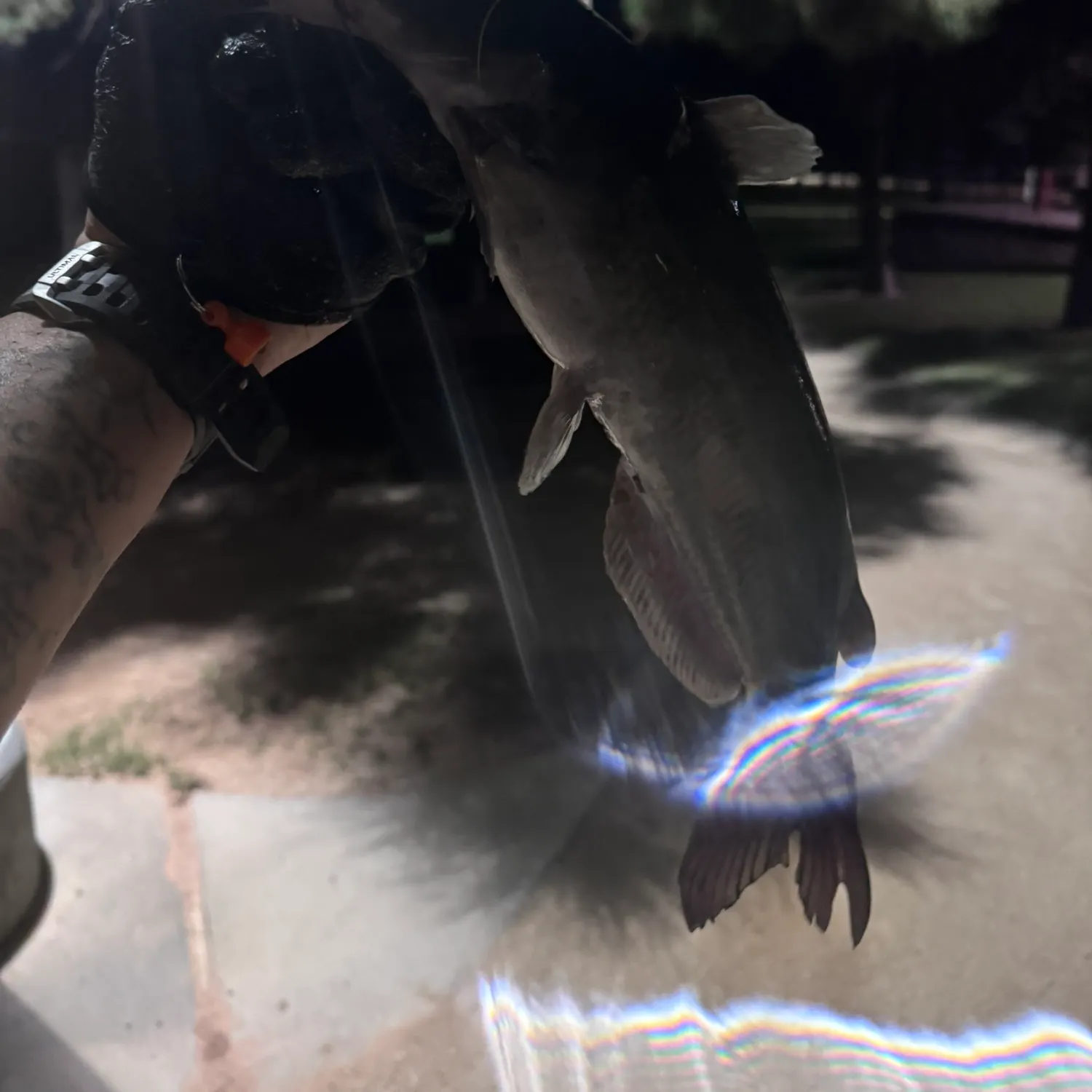catch