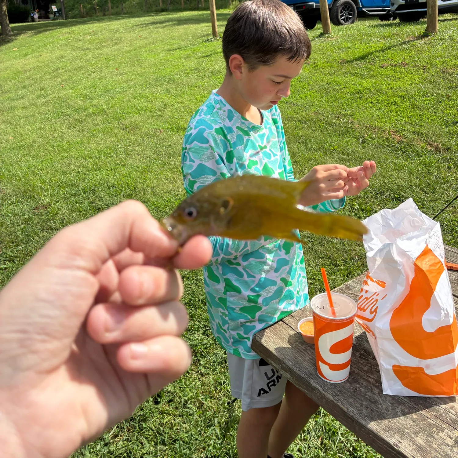 Green sunfish caught on Fishbrain