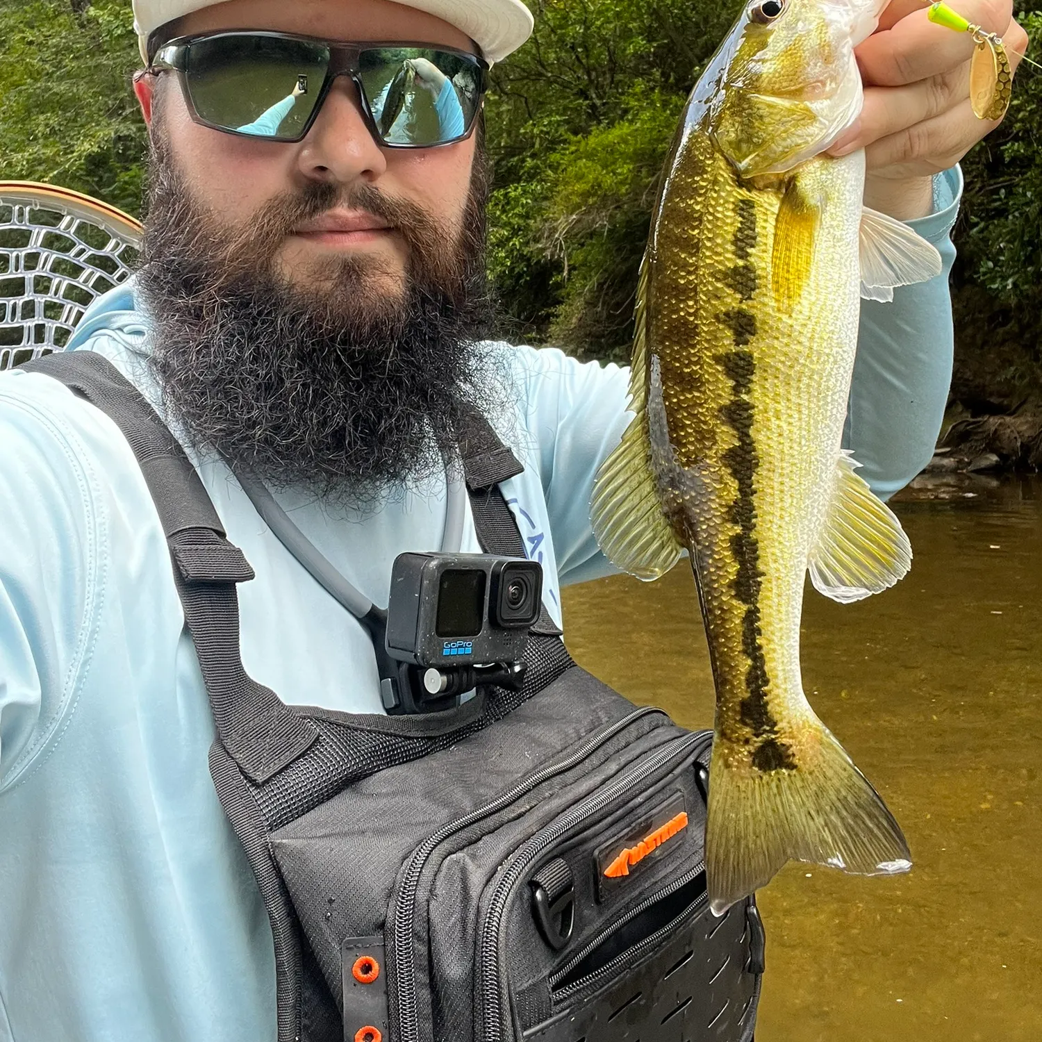 Spotted bass caught on Fishbrain